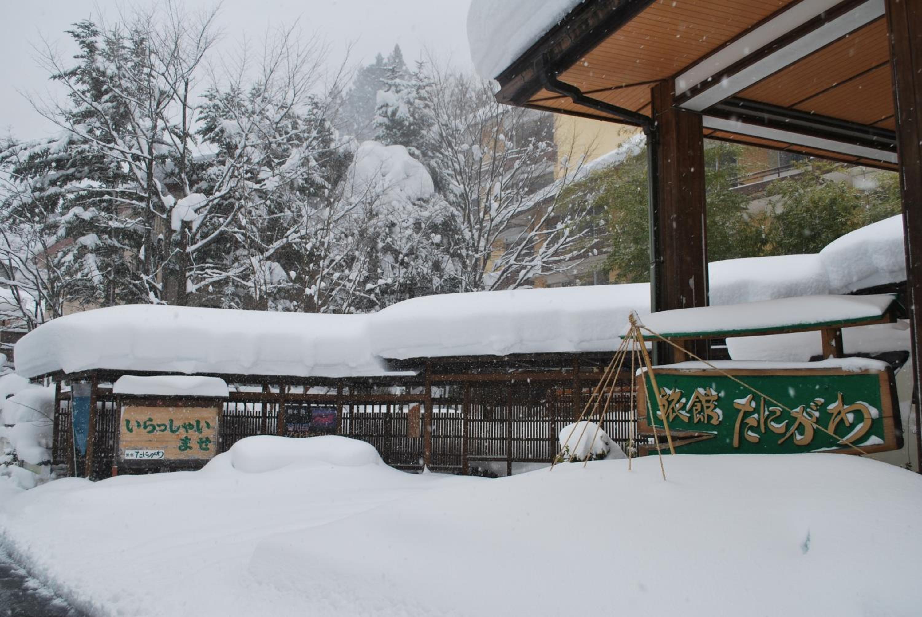 Ryokan Tanigawa