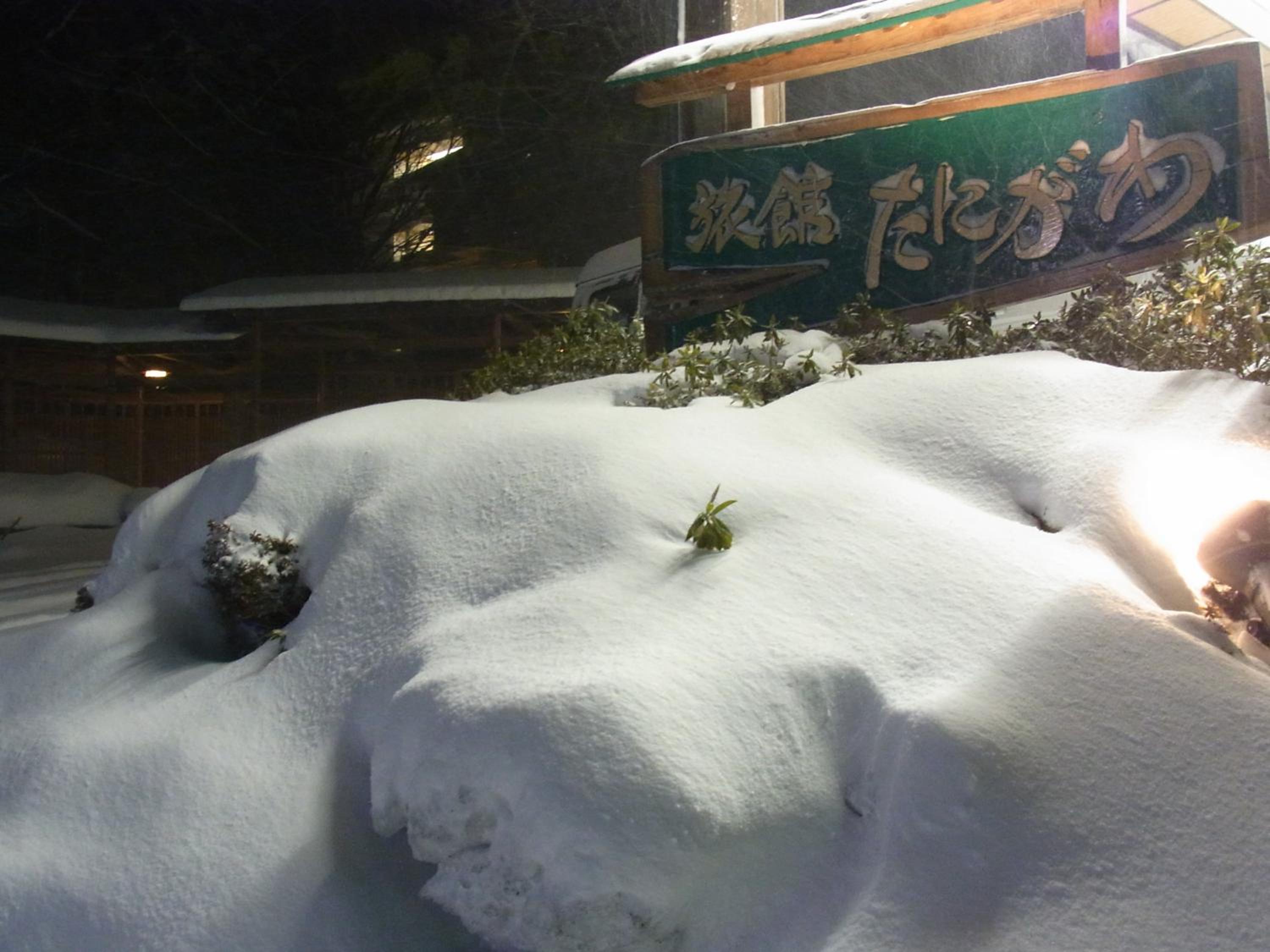 Ryokan Tanigawa