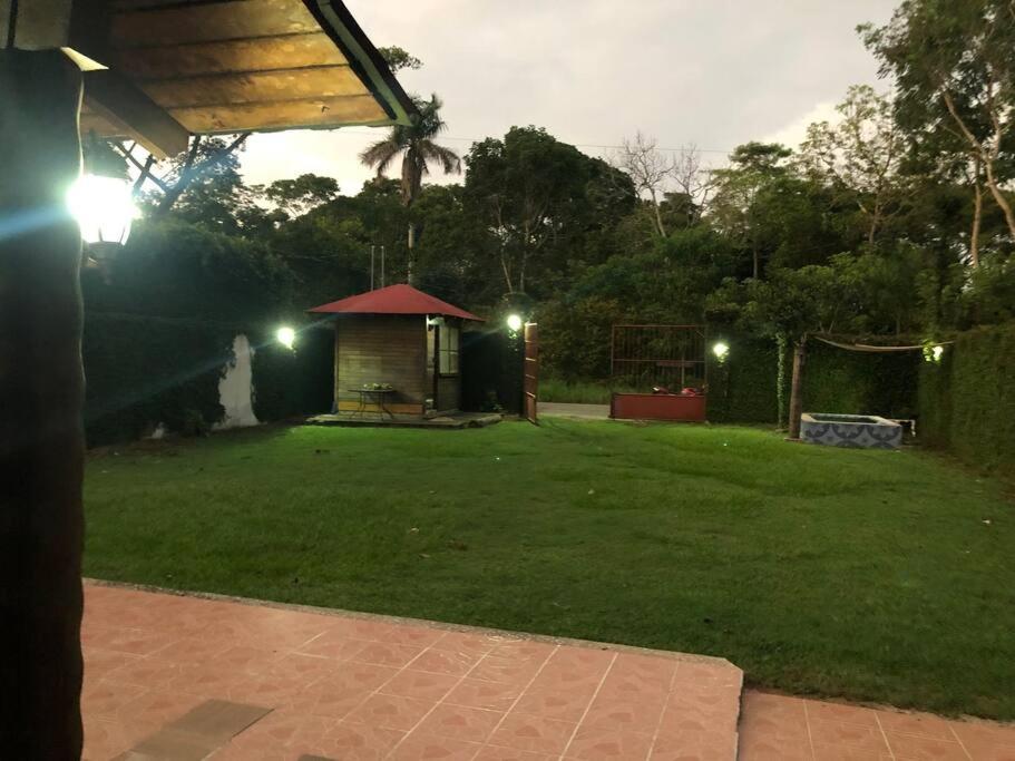 Photo 10