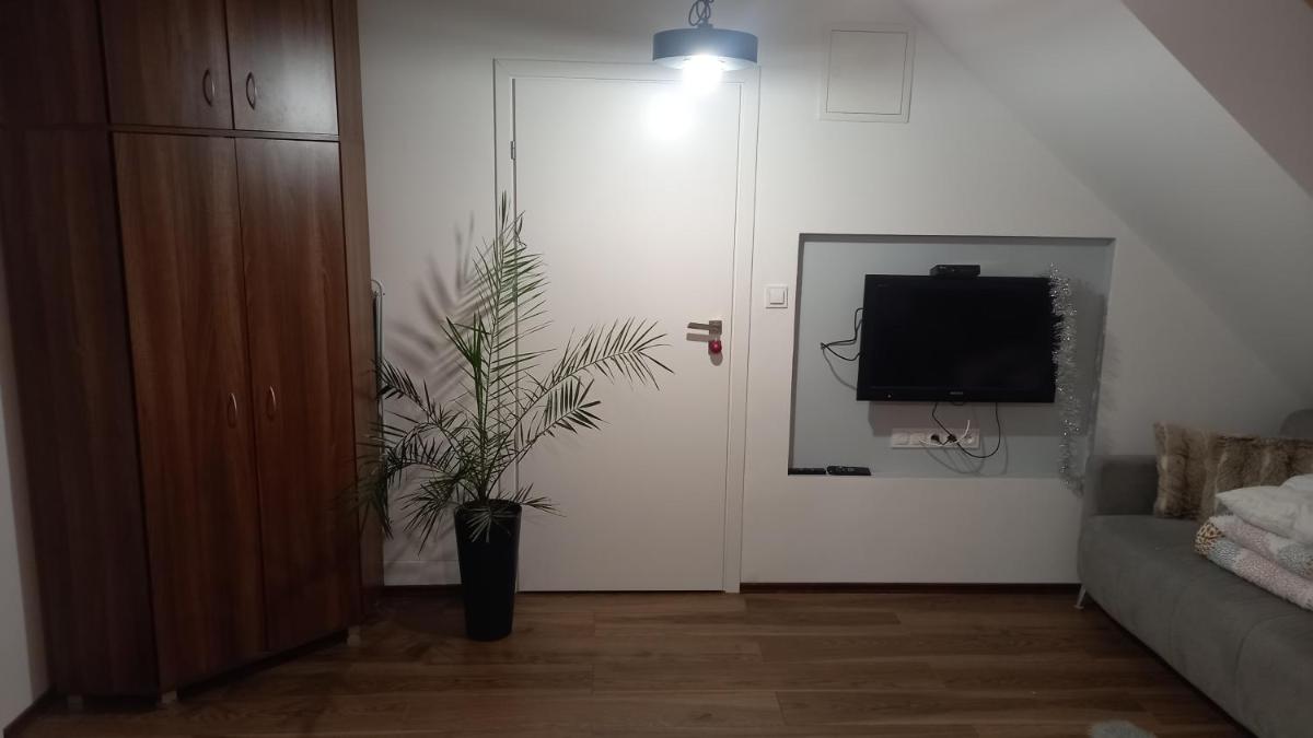 Apartament Muzyczny view 2