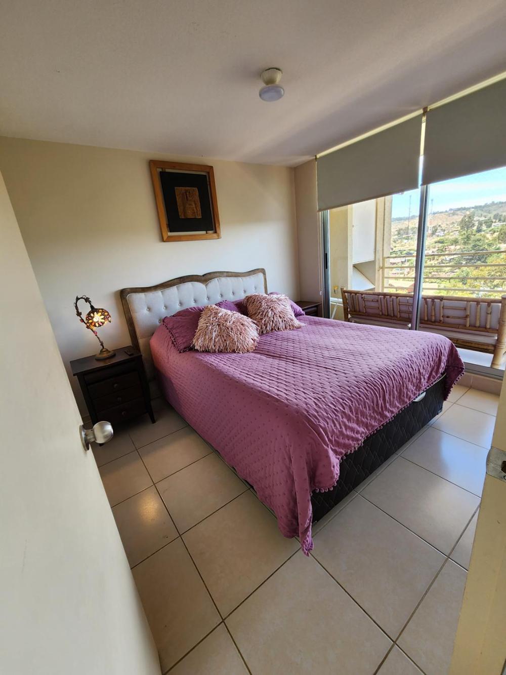 HERMOSO DEPARTAMENTO ALGARROBO NORTE