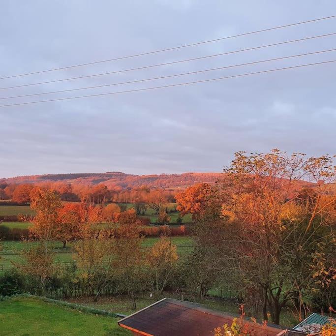 Delightful Country Cottage in a lovely rural area view 4