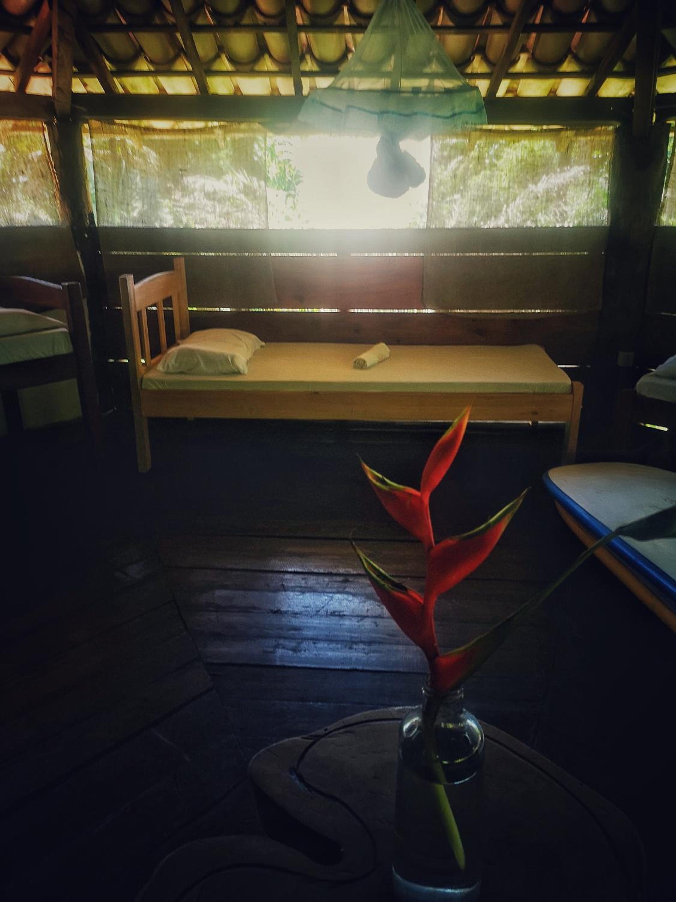 Photo 42