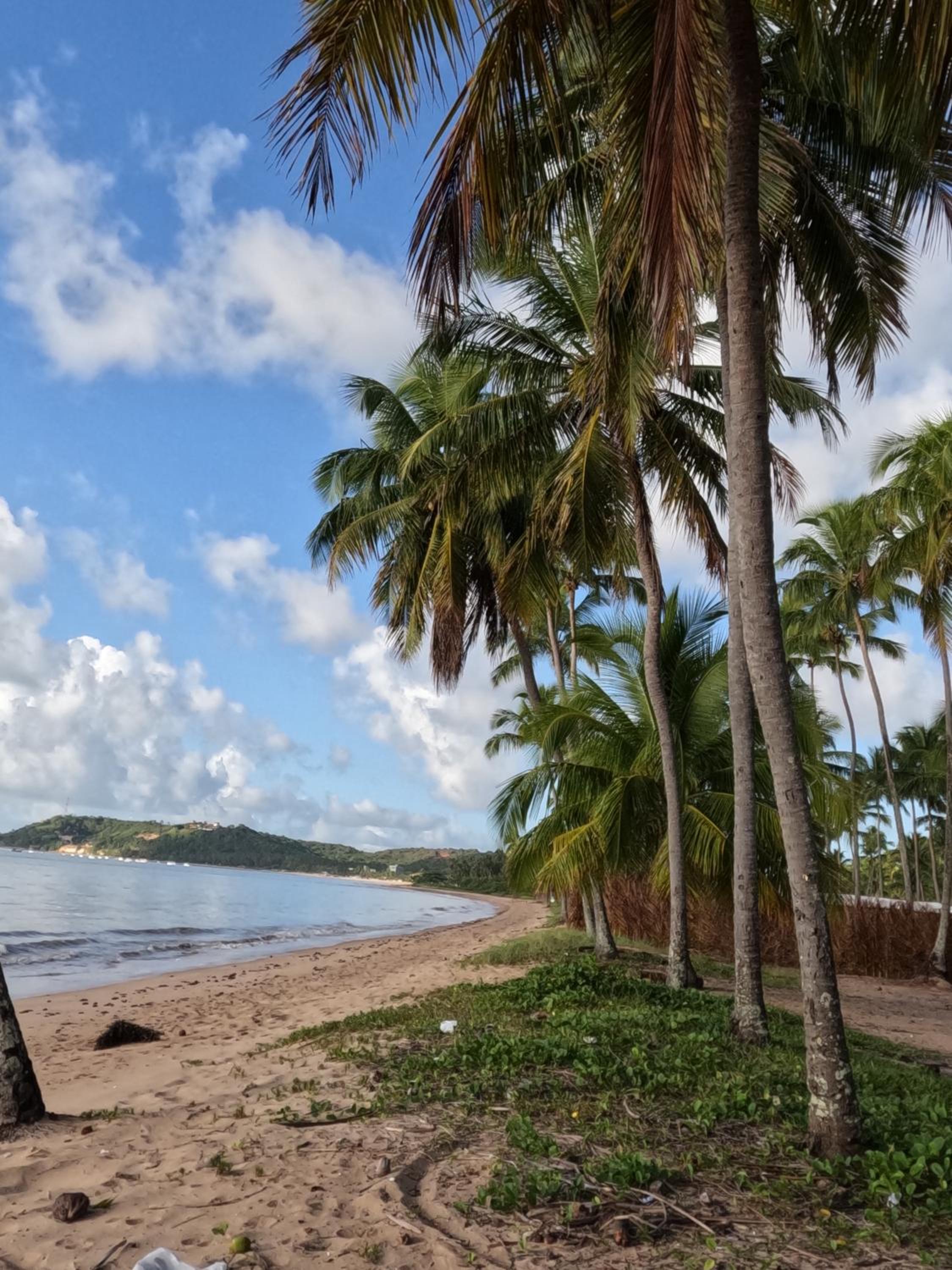 Flat Japaratinga Beach
