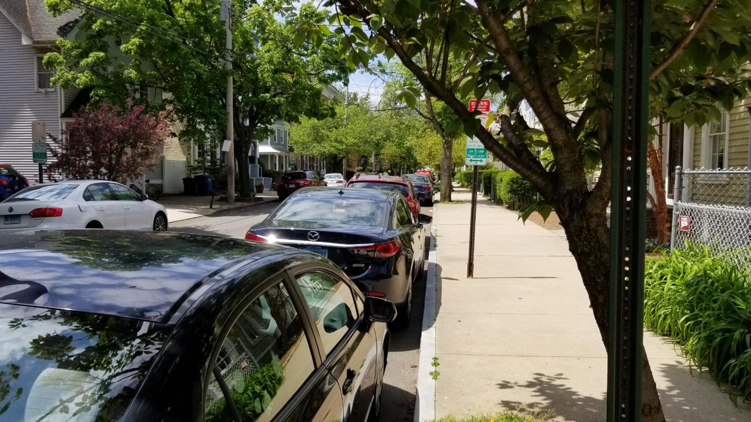 Lovely 2BR apartment by Wooster Square- great neighborhood