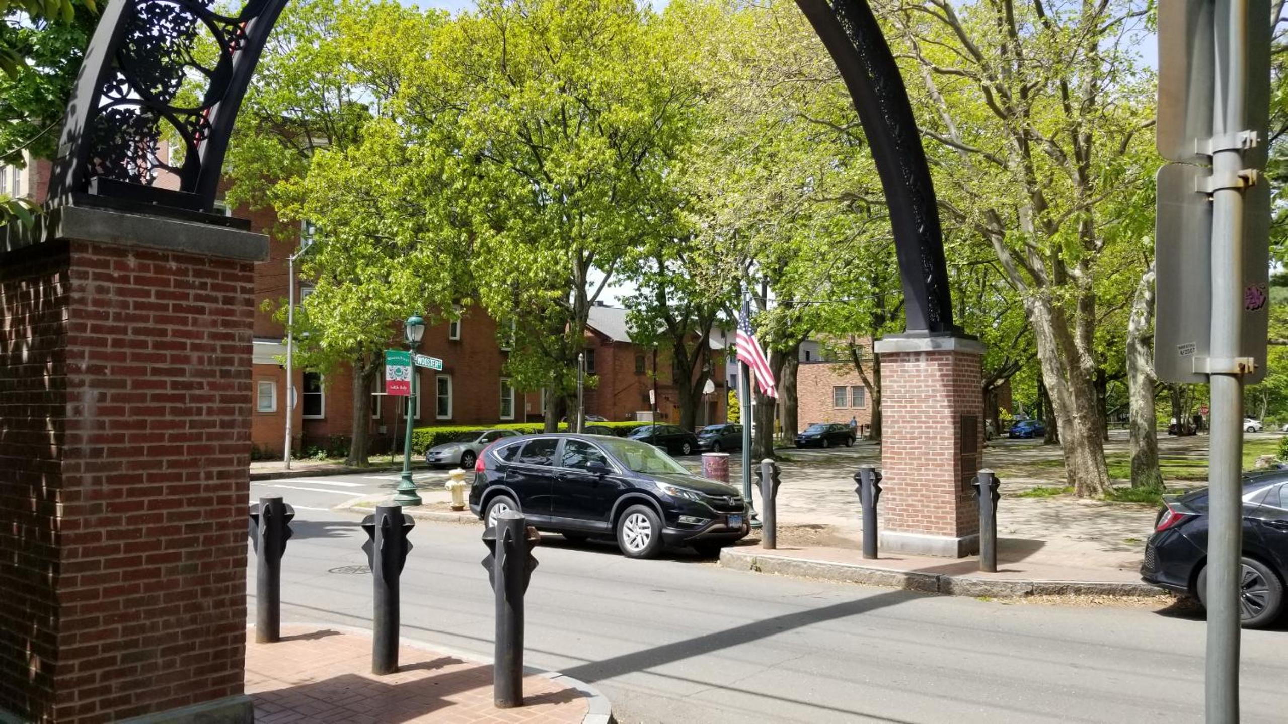 Lovely 2BR apartment by Wooster Square- great neighborhood