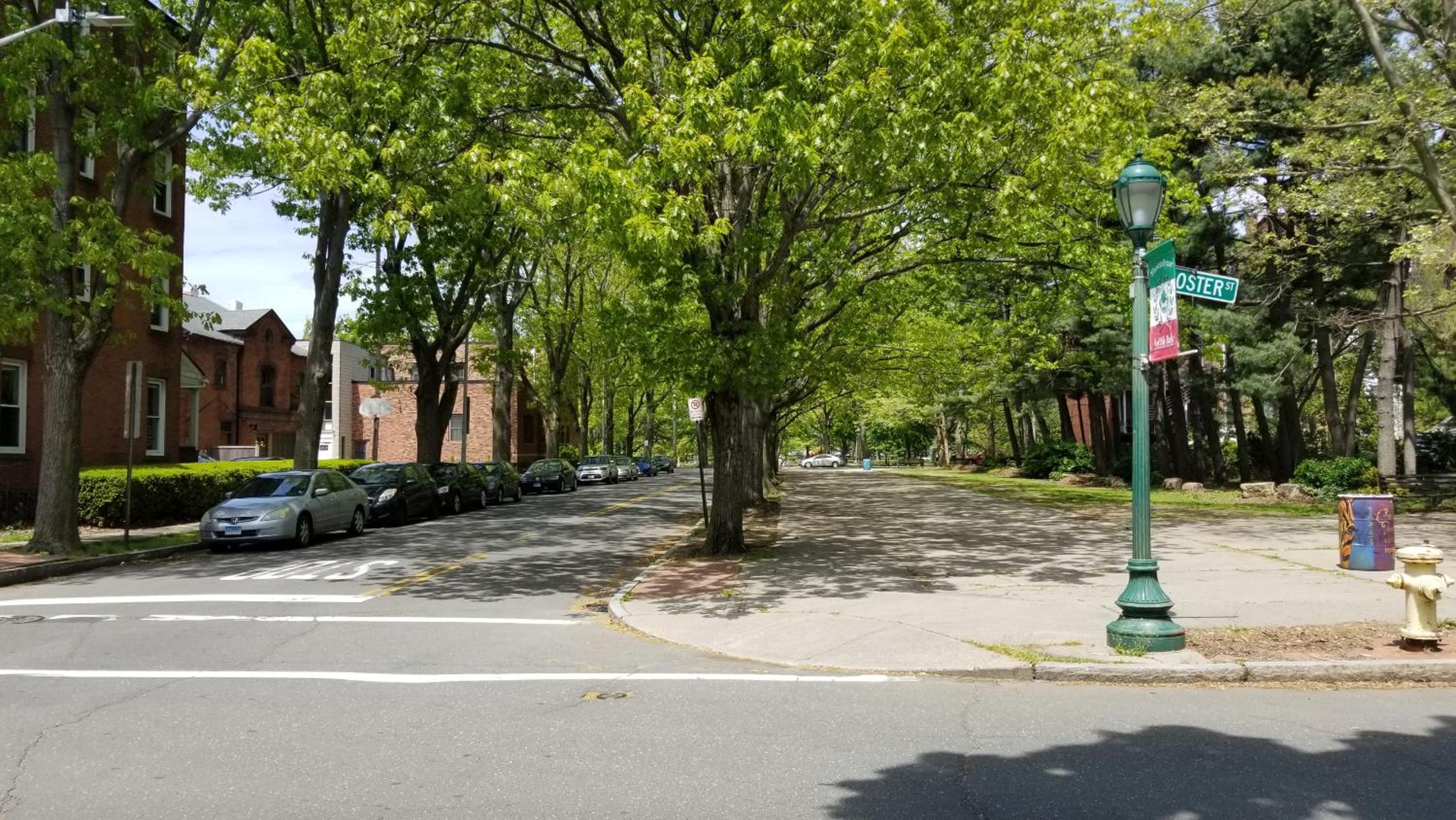 Lovely 2BR apartment by Wooster Square- great neighborhood