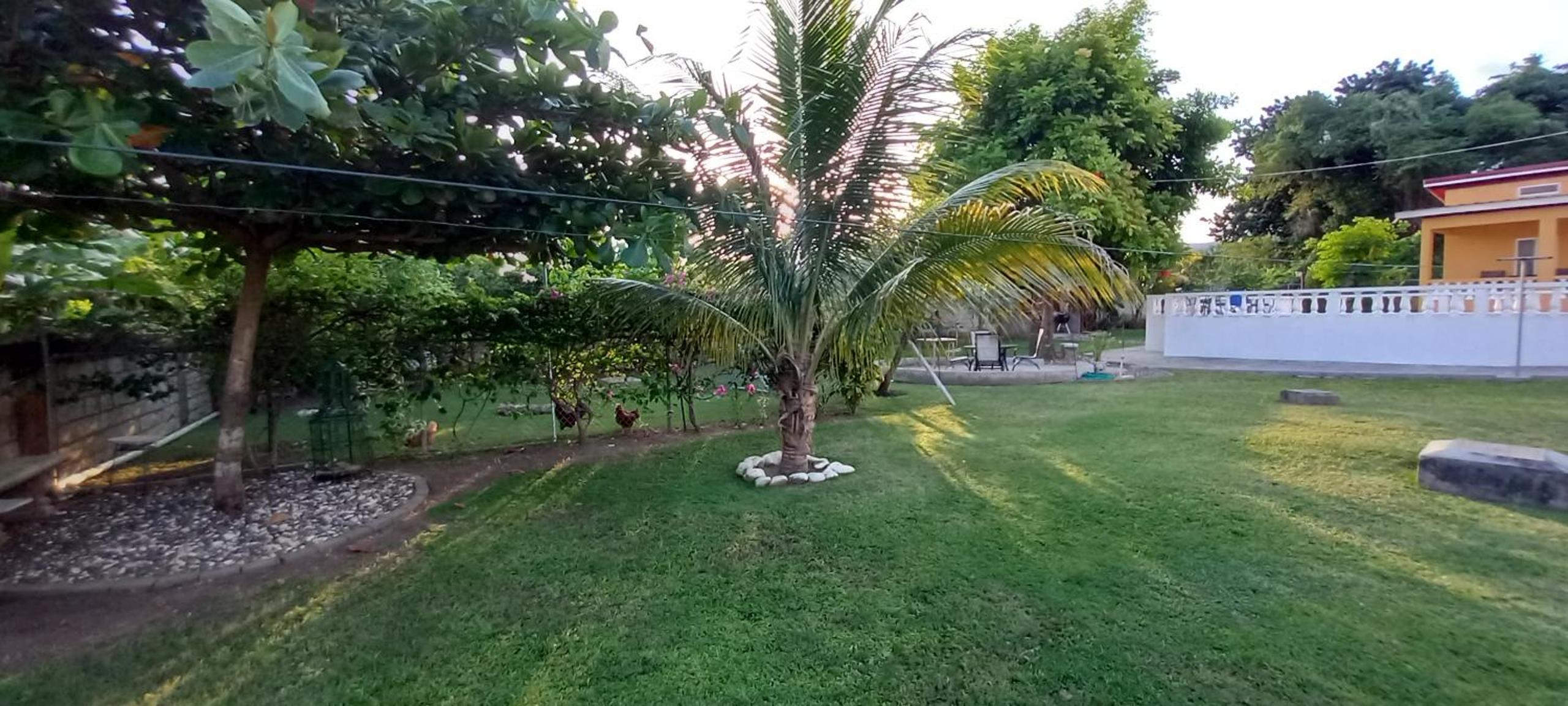 Photo 31