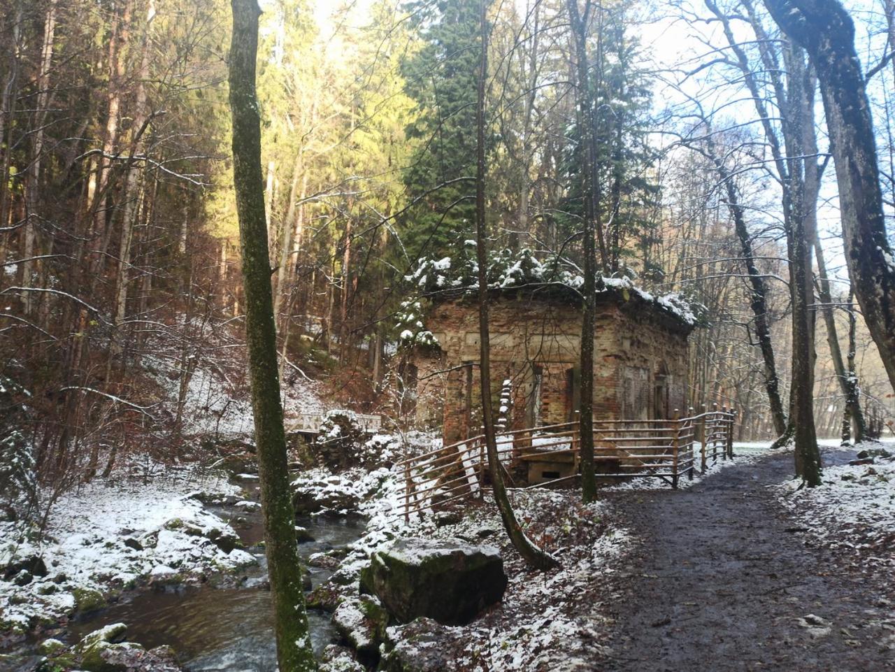 Photo 19