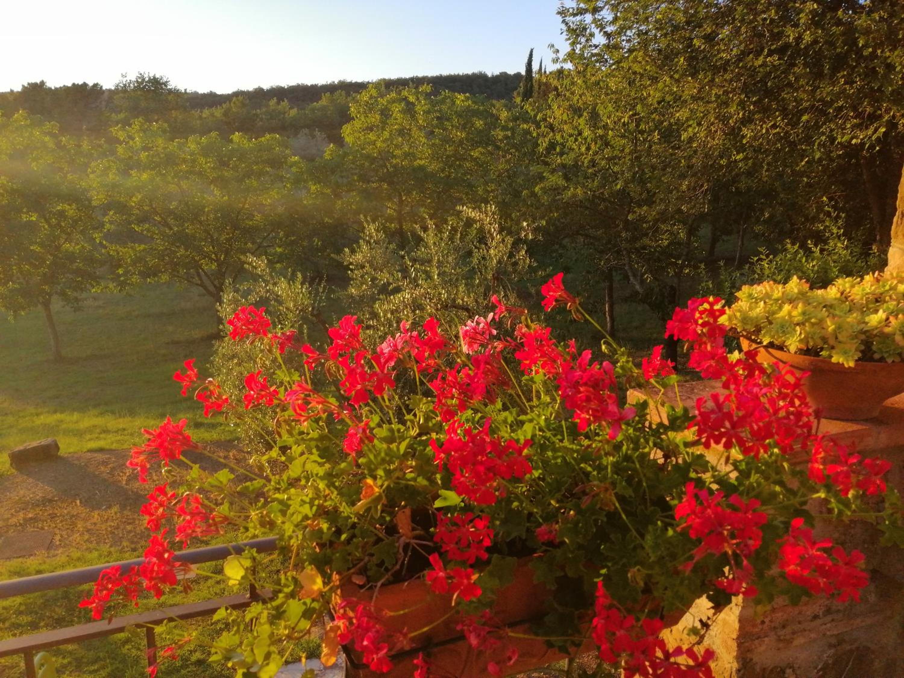 Agriturismo Sommassa