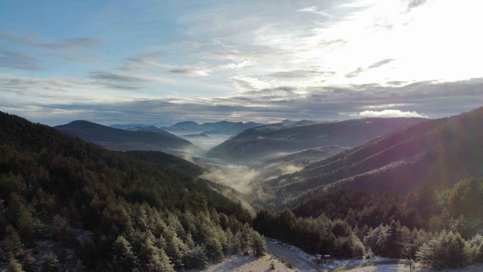 Previja Zlatibor Chalet view 4