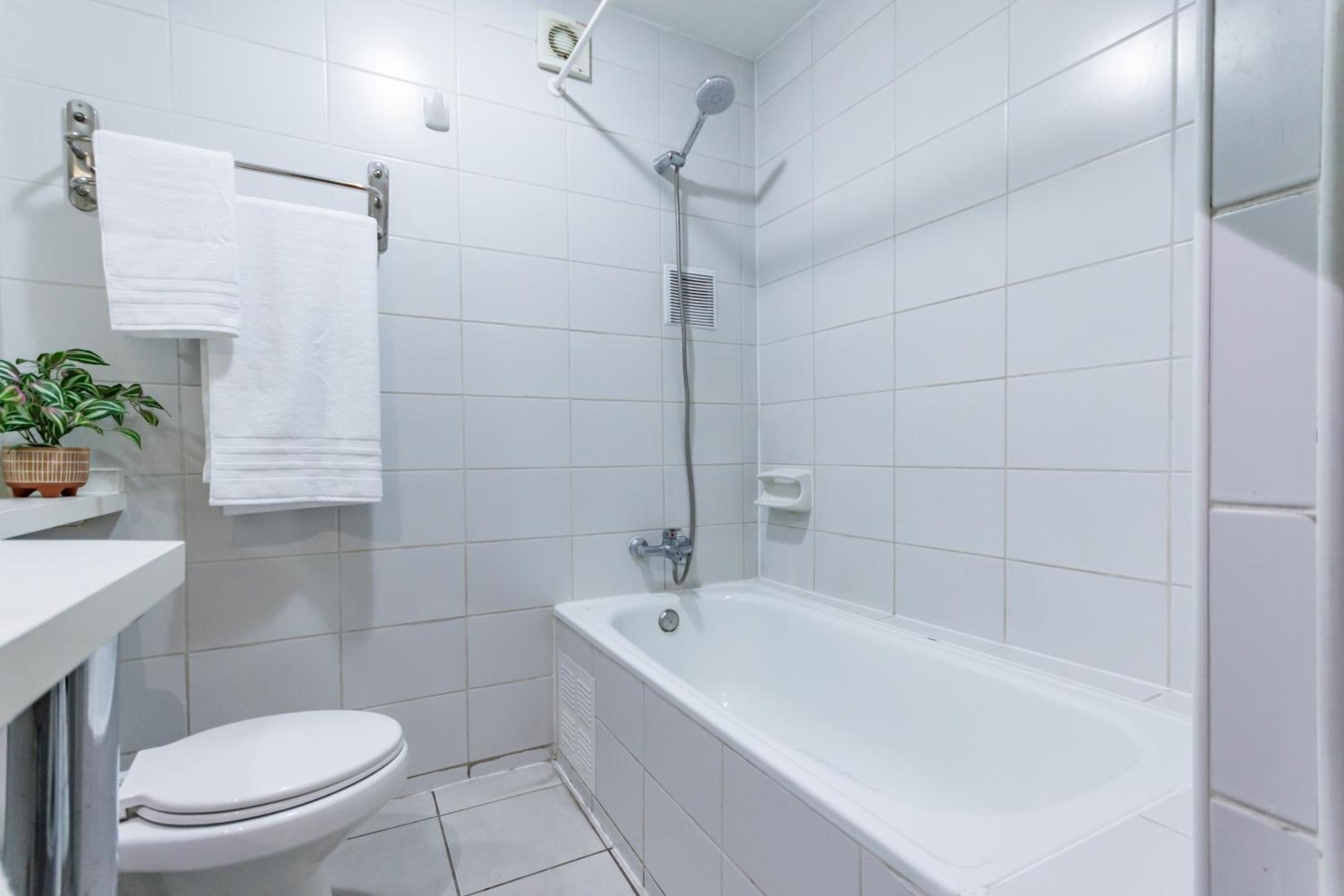 San Carlos rentals - Lastarria
