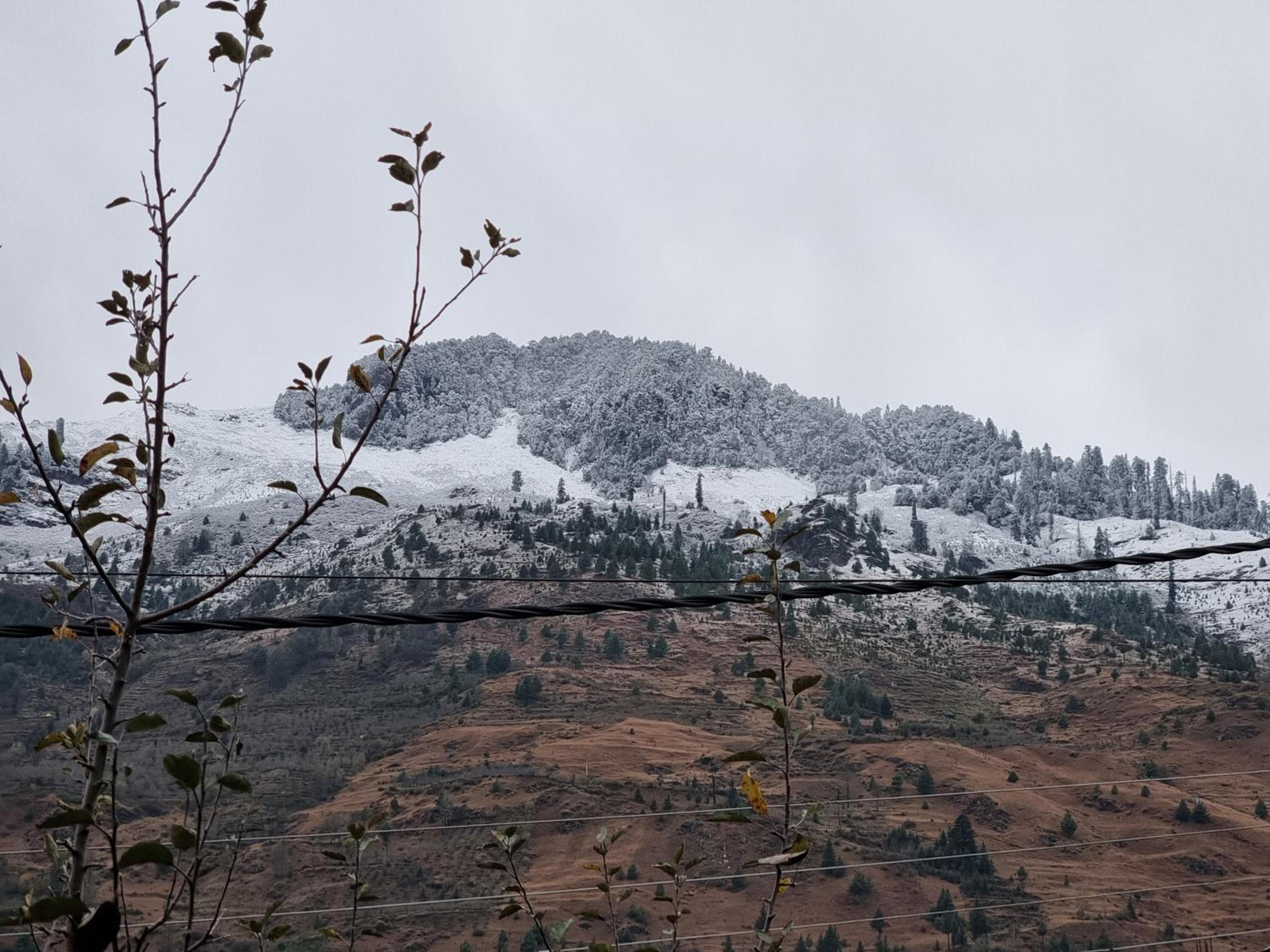The Bunker Burwa Manali view 3