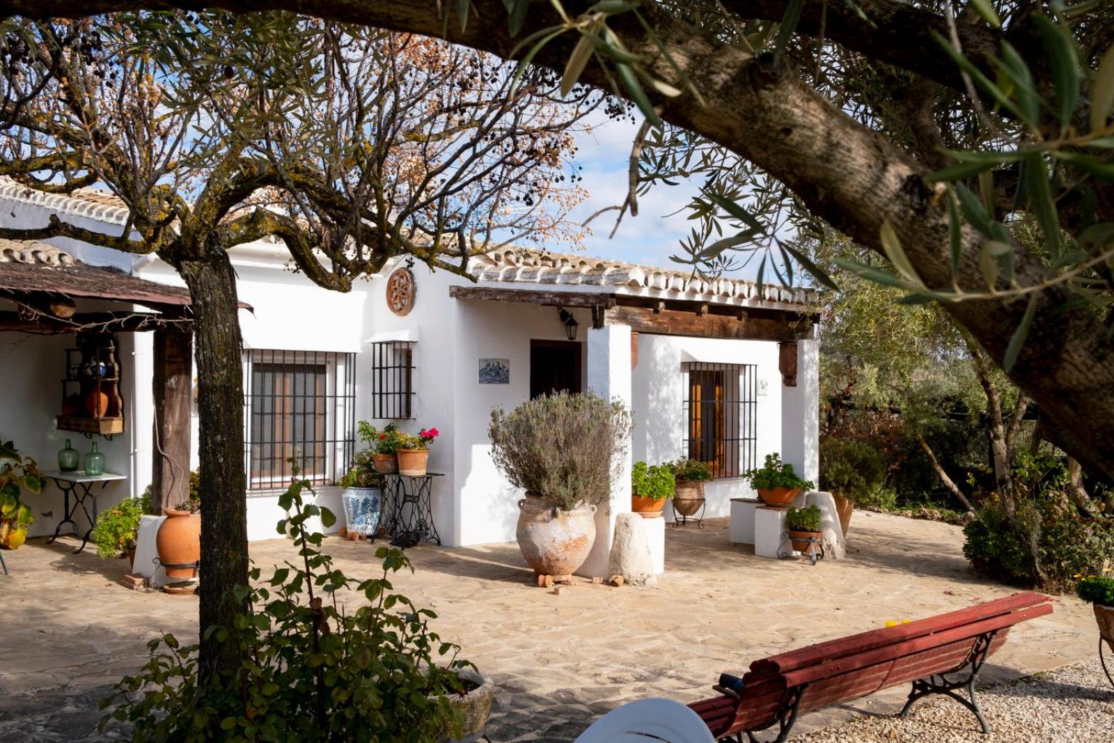 La Mejorana Refugio entre olivos view 5