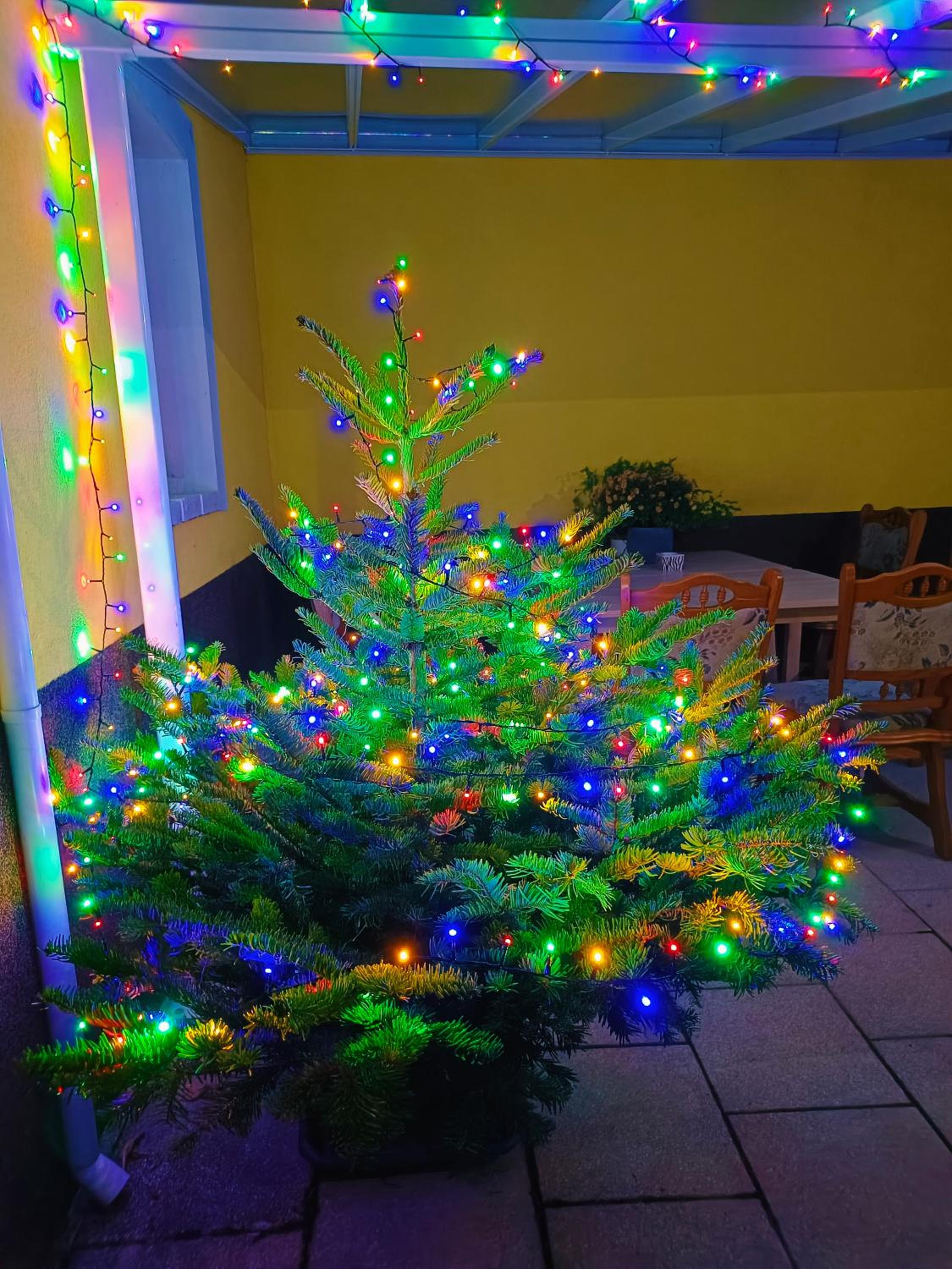 Photo 48