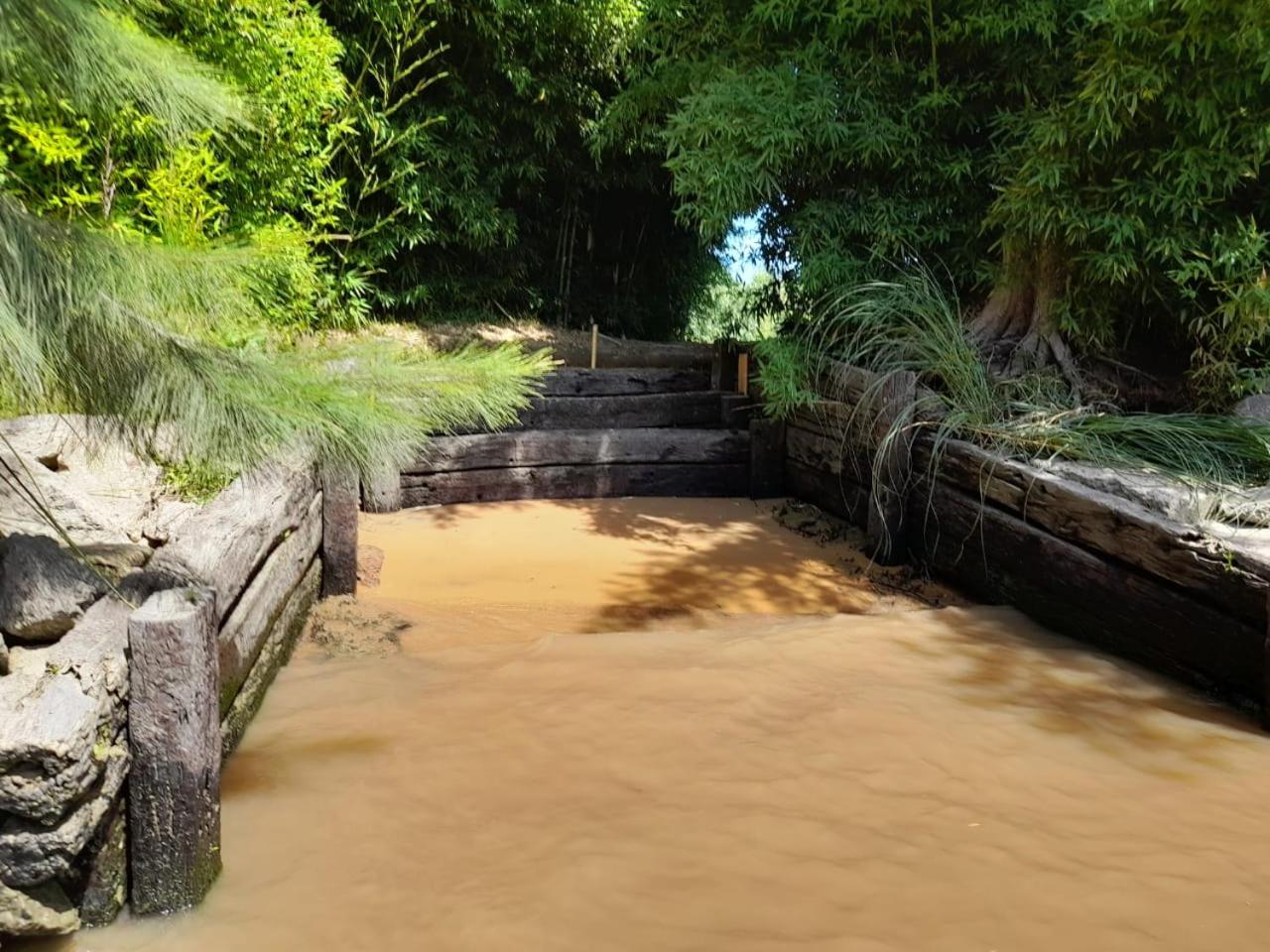Muelle Delta Arias - EN TIGRE ISLA -