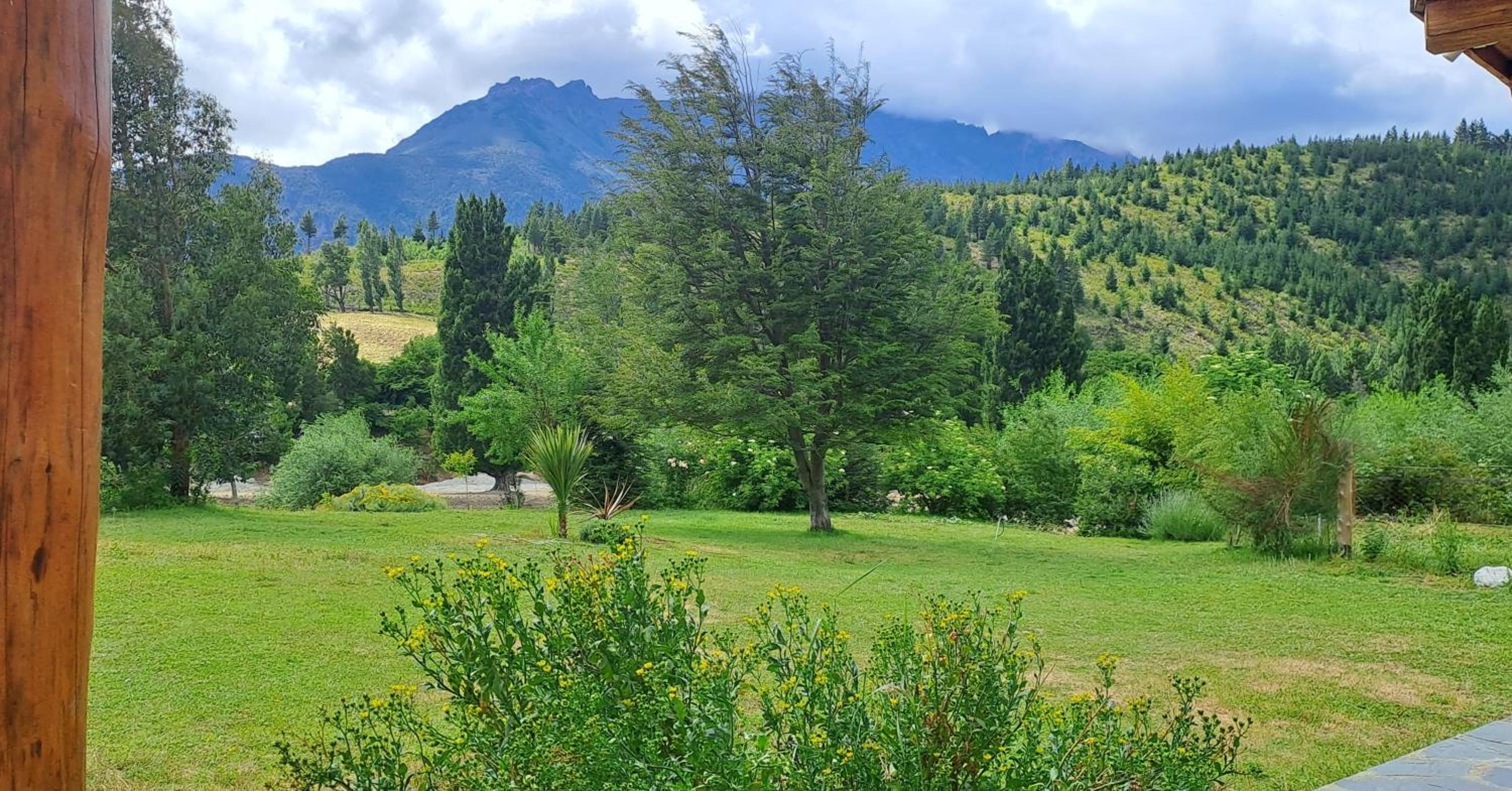 La Maruca