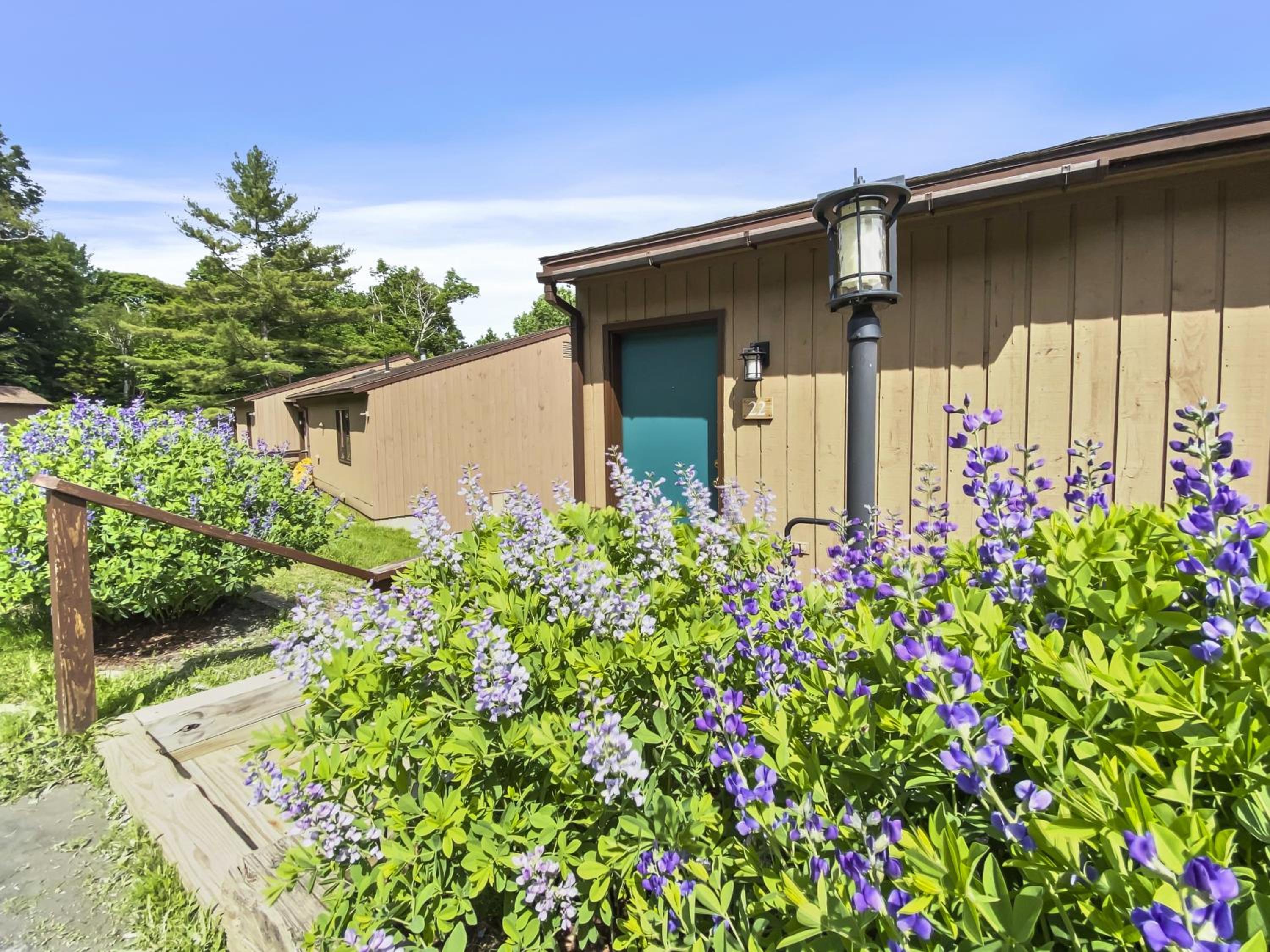 Sugarbush Summit Condo
