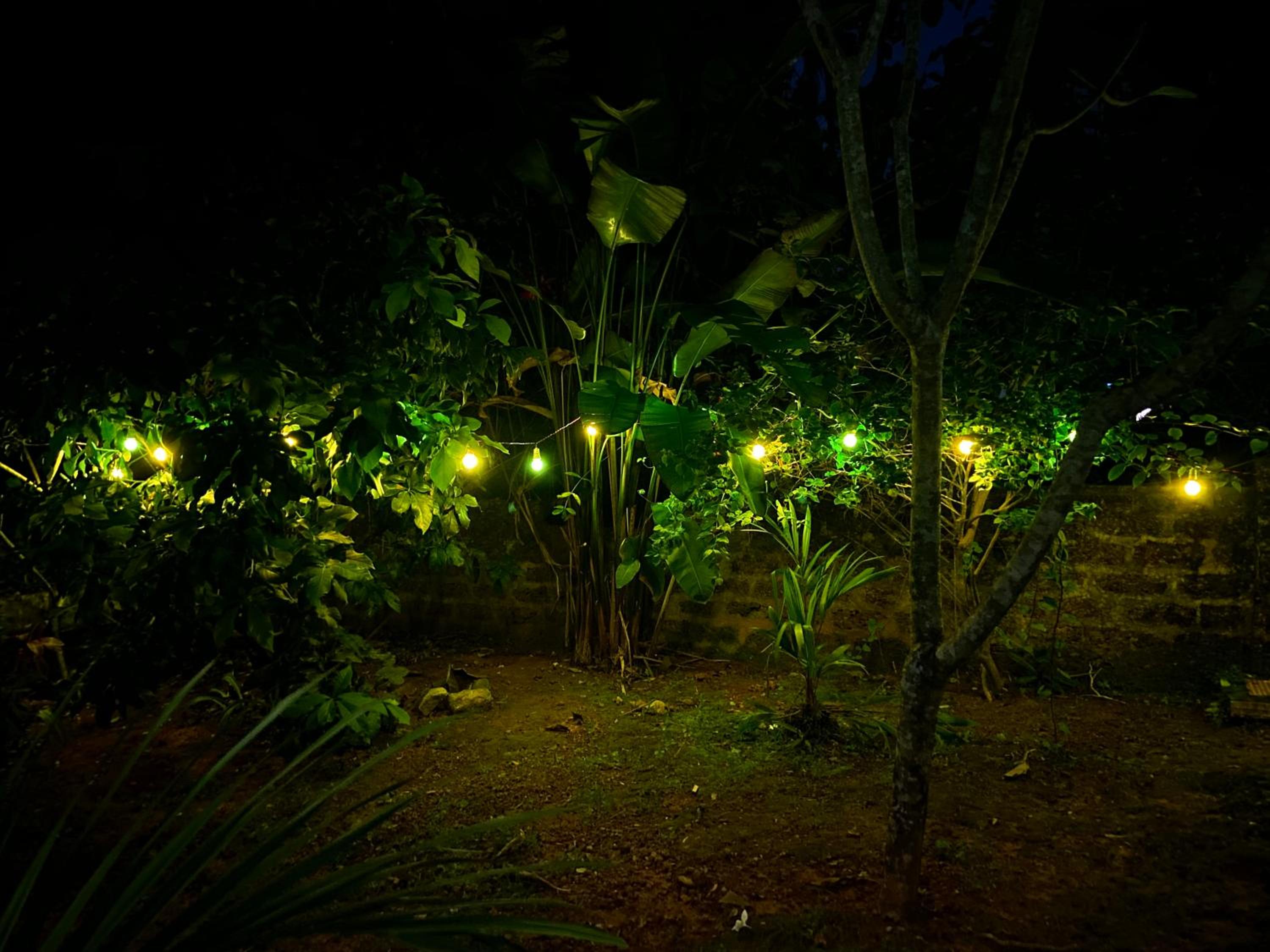 Mango Villa