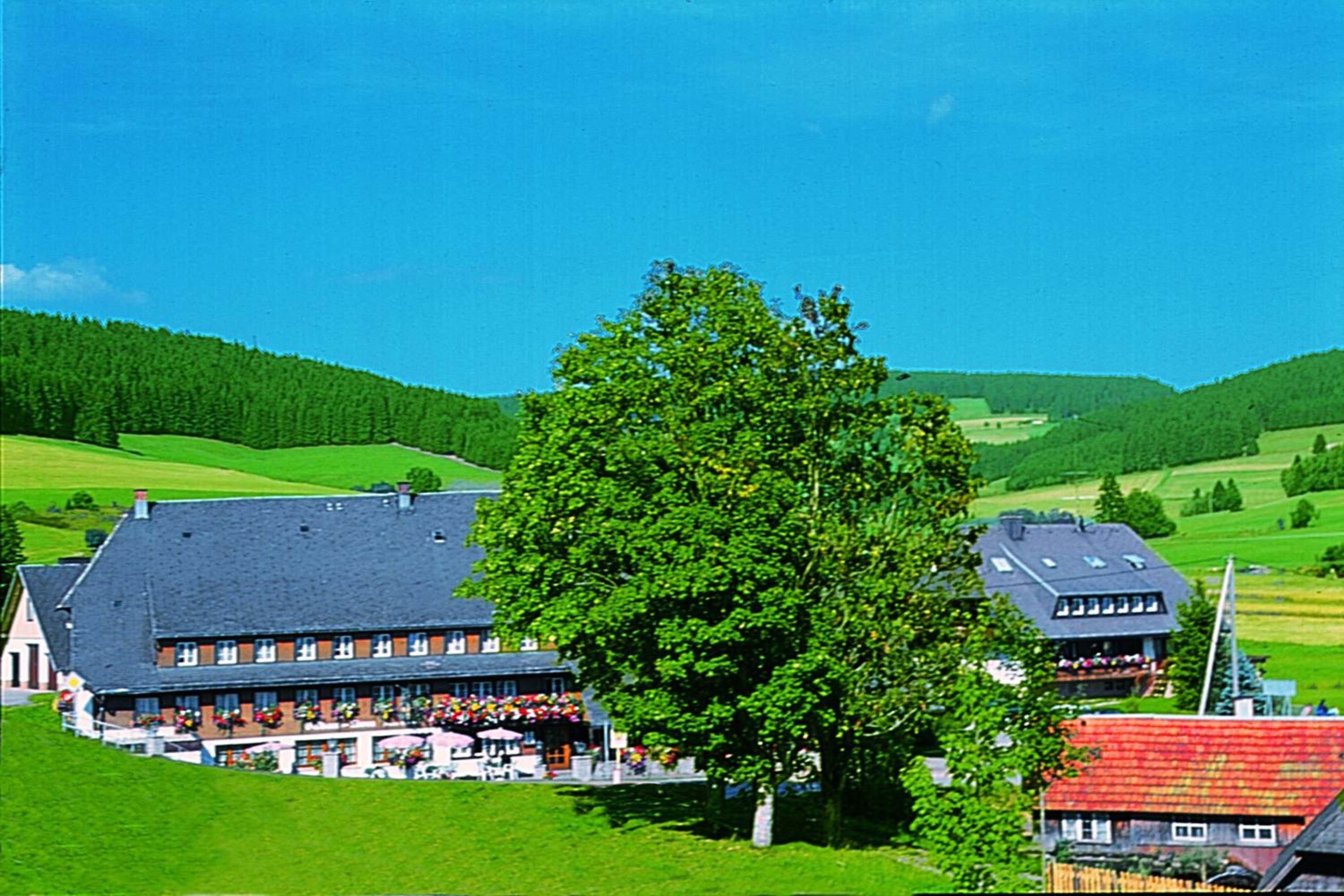 Hotel Zum Löwen - Unteres Wirtshaus - Image 1