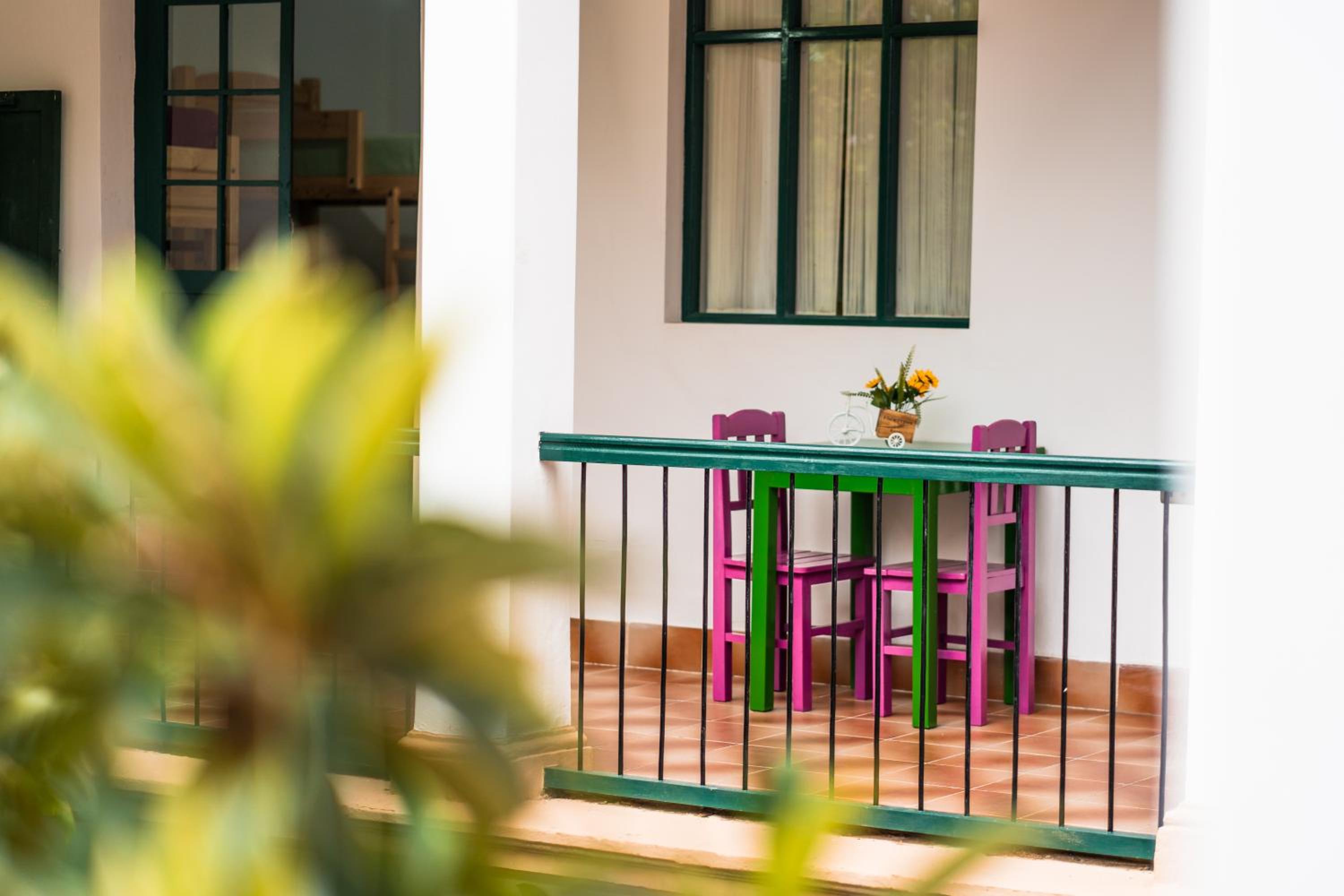 Dragonfly Guest House