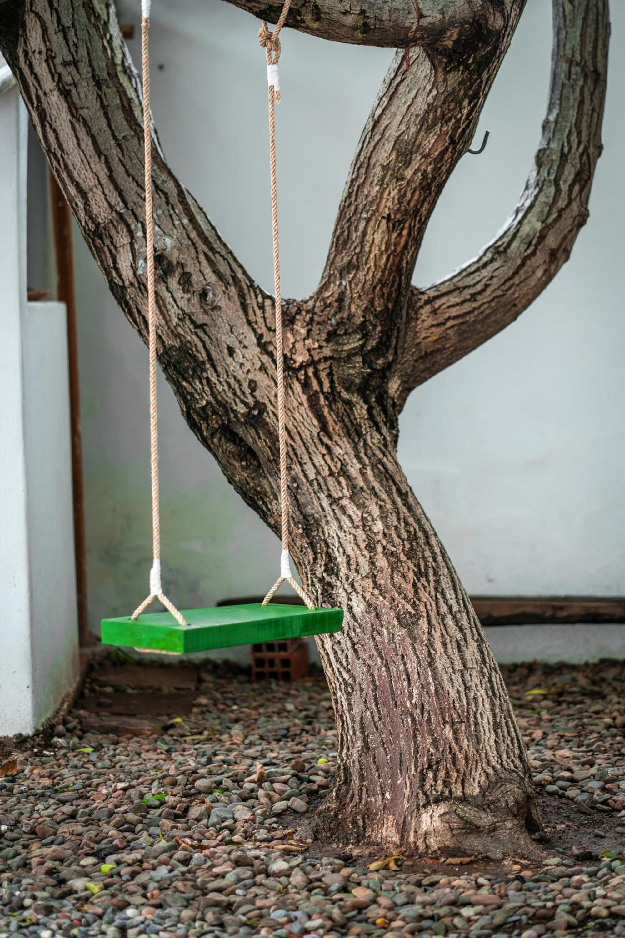 Dragonfly Guest House