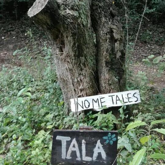 Casita serrana
