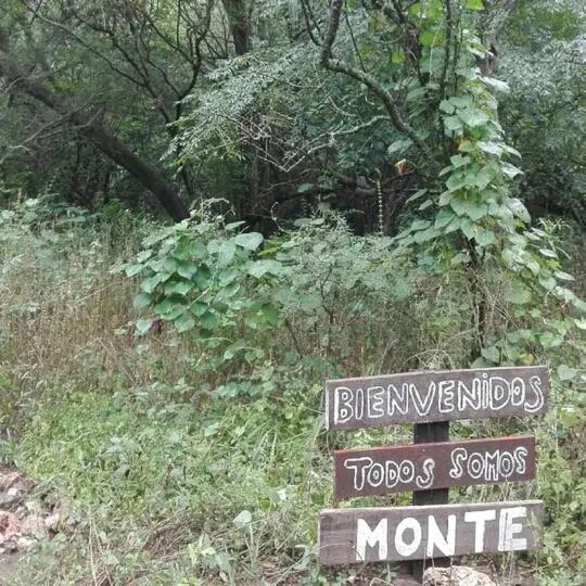 Casita serrana