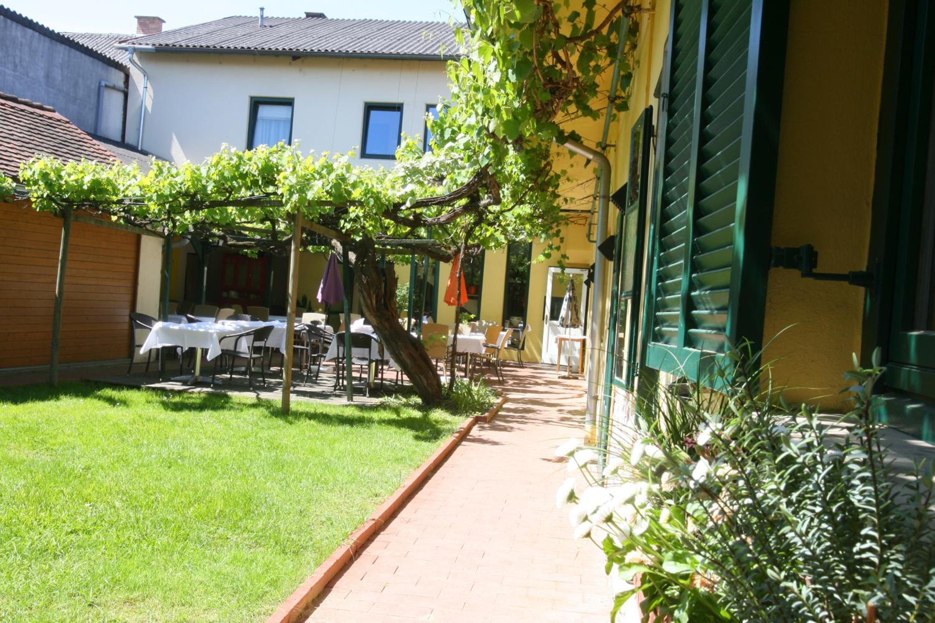 Bed & Breakfast Zum Alten Weinstock
