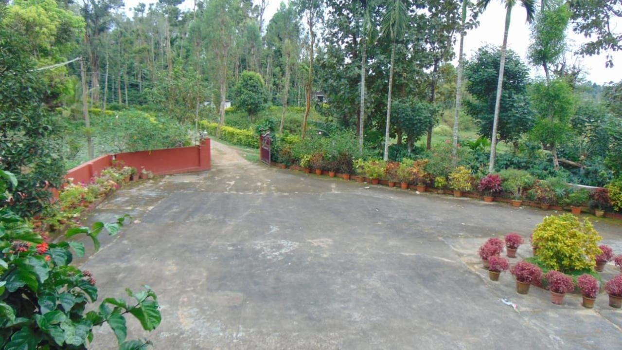 Shree Raksha Homestay view 2