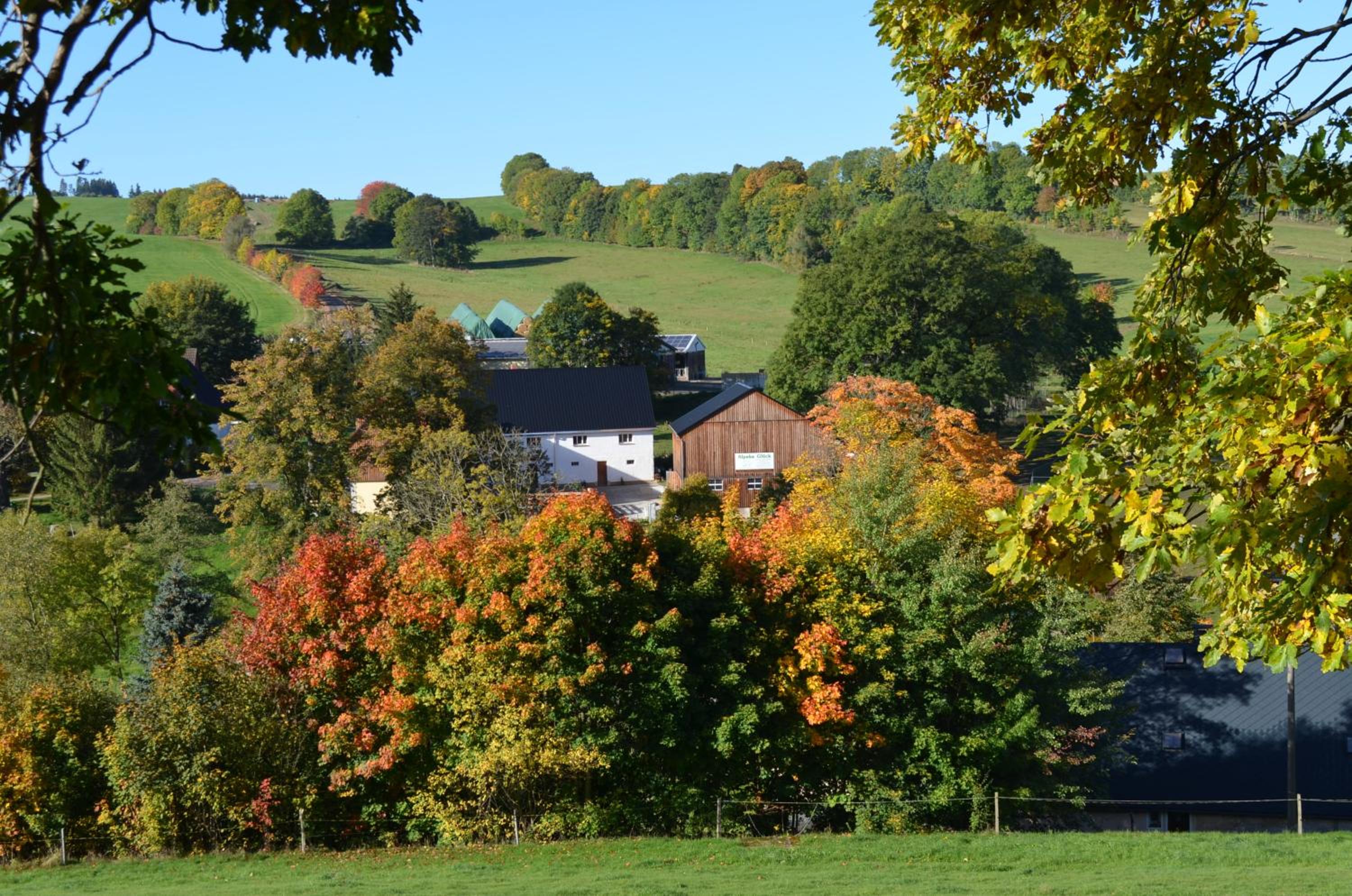 Ferienhaus Alpaka Glück