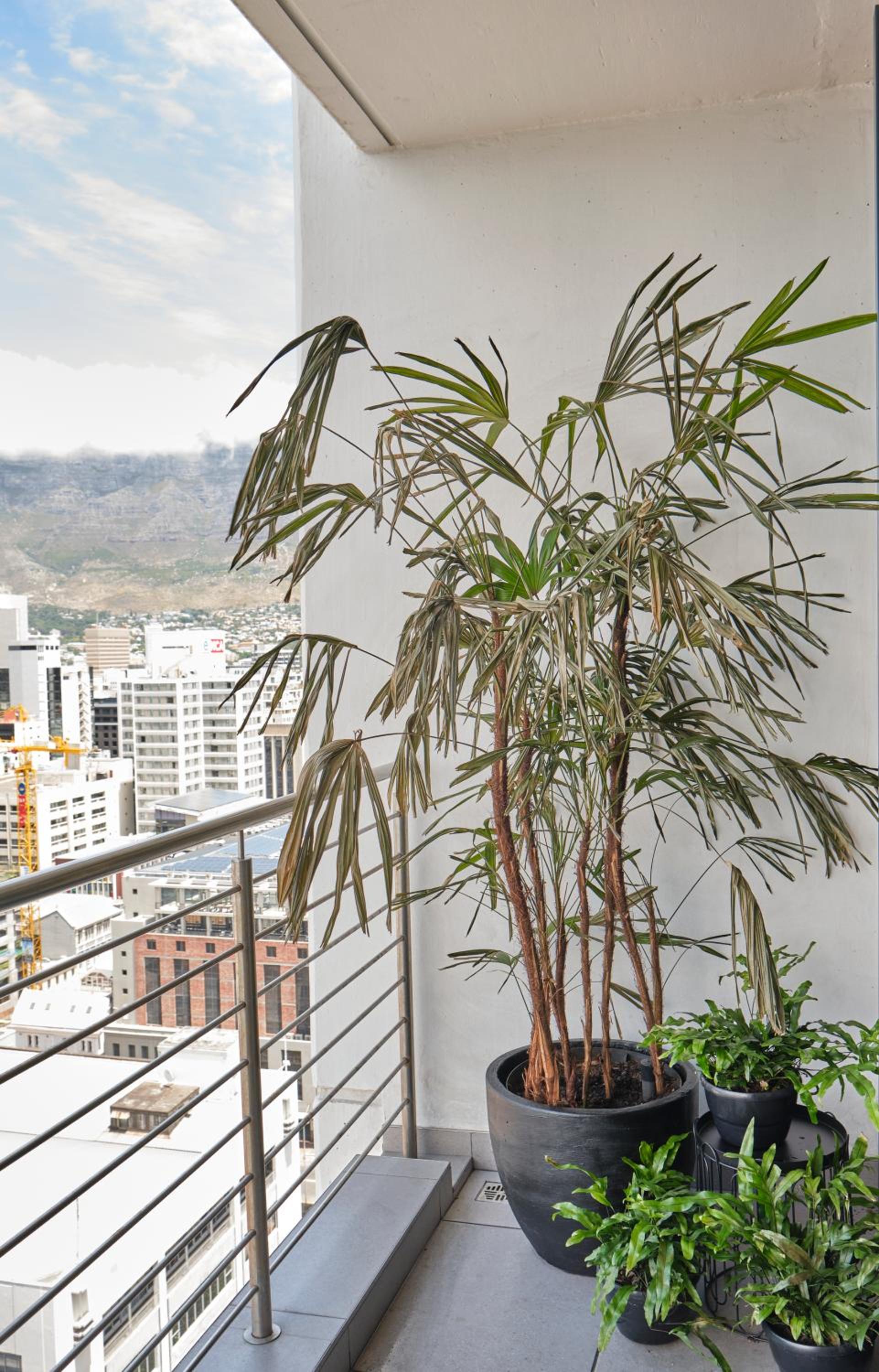 City Gem NO Loadshedding view 2