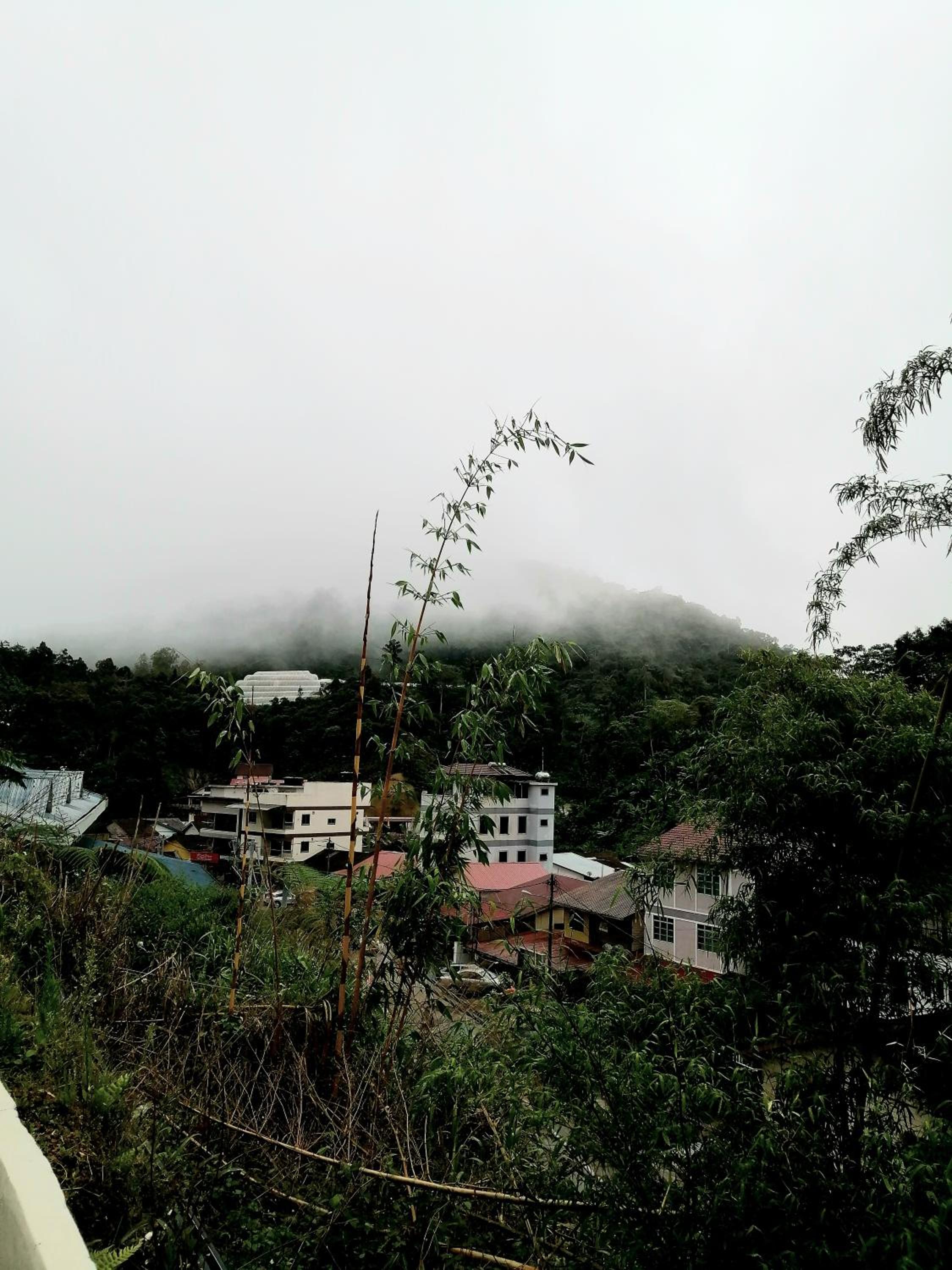 Photo 40
