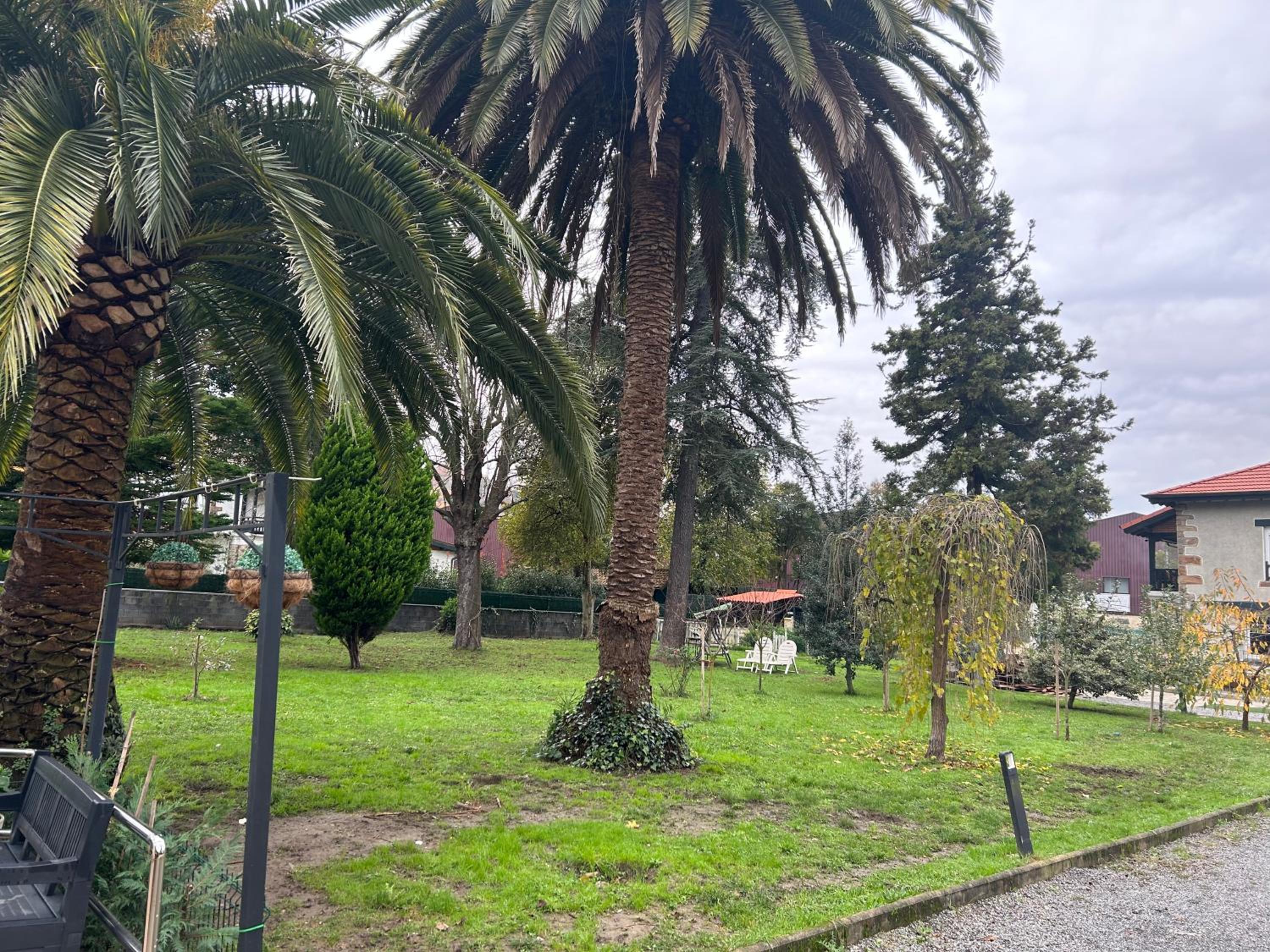 Lekuona