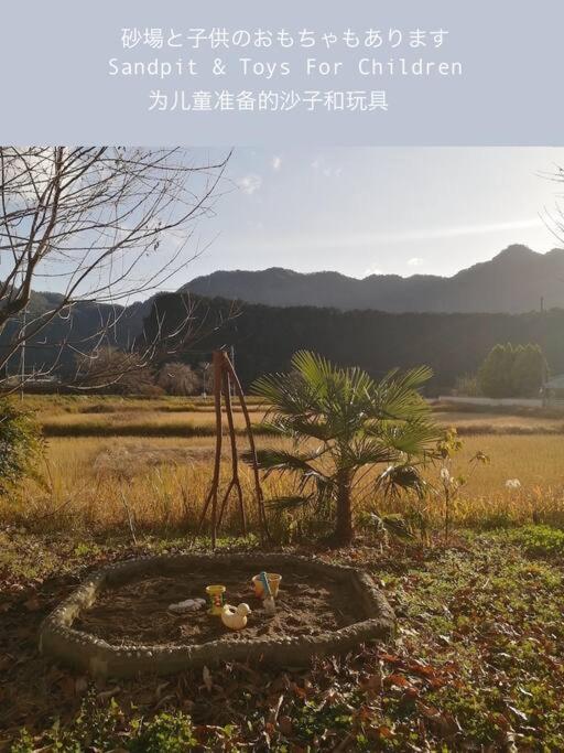 Photo 28