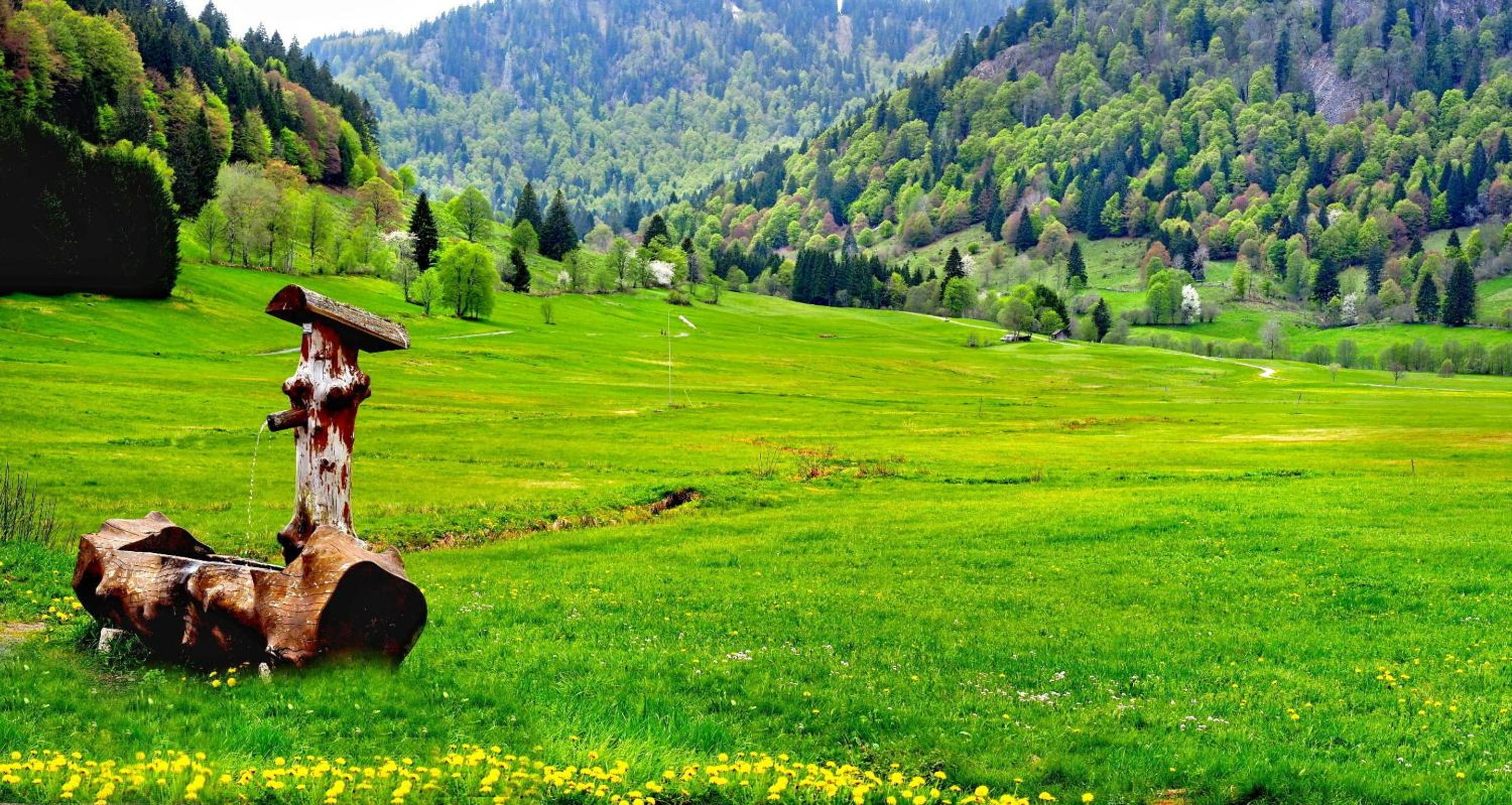 C1 Schwarzwald-Fewo an der Alb 50m FerienwohnungApp für max 5 Personen