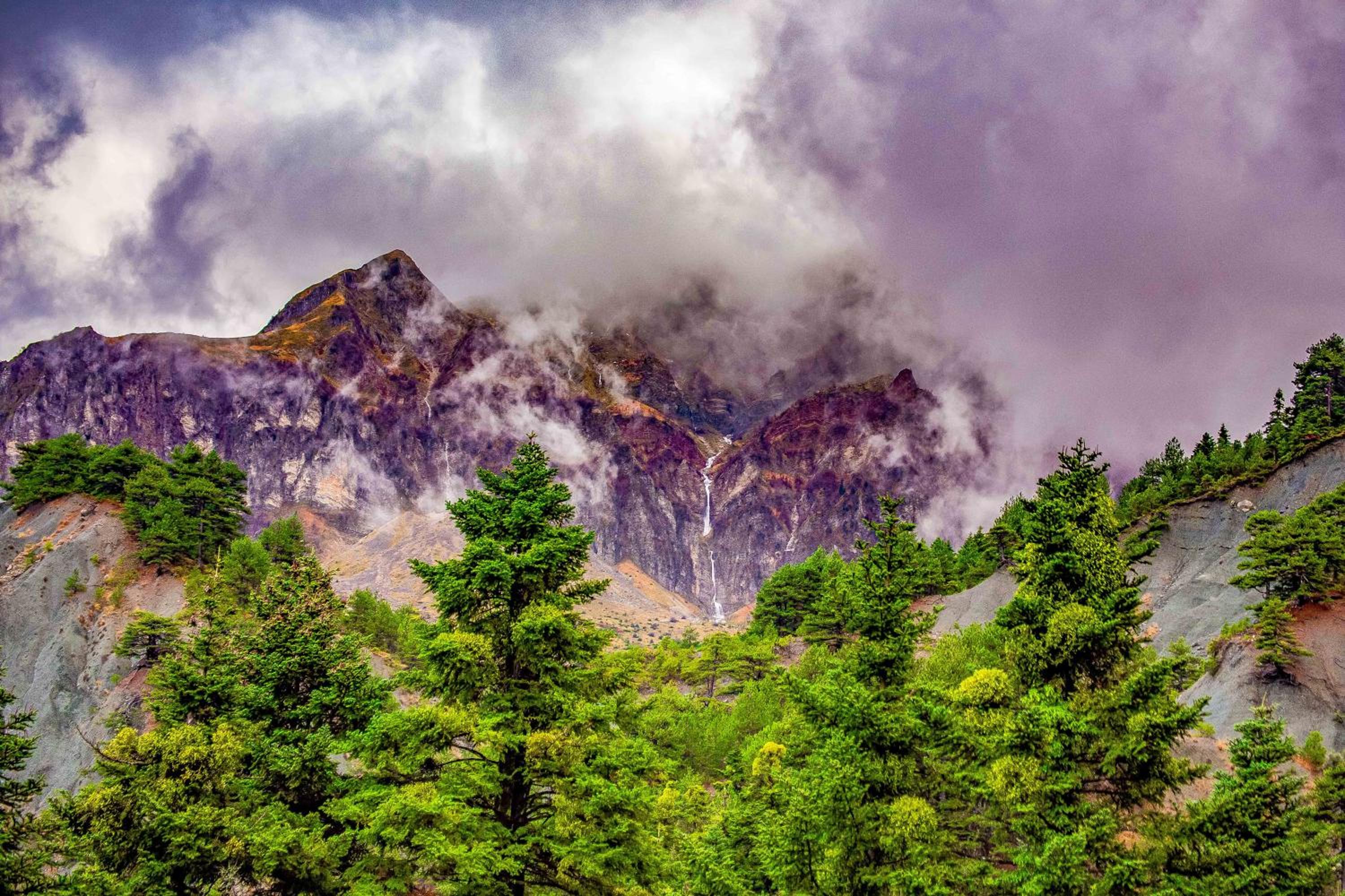 Baldeneige