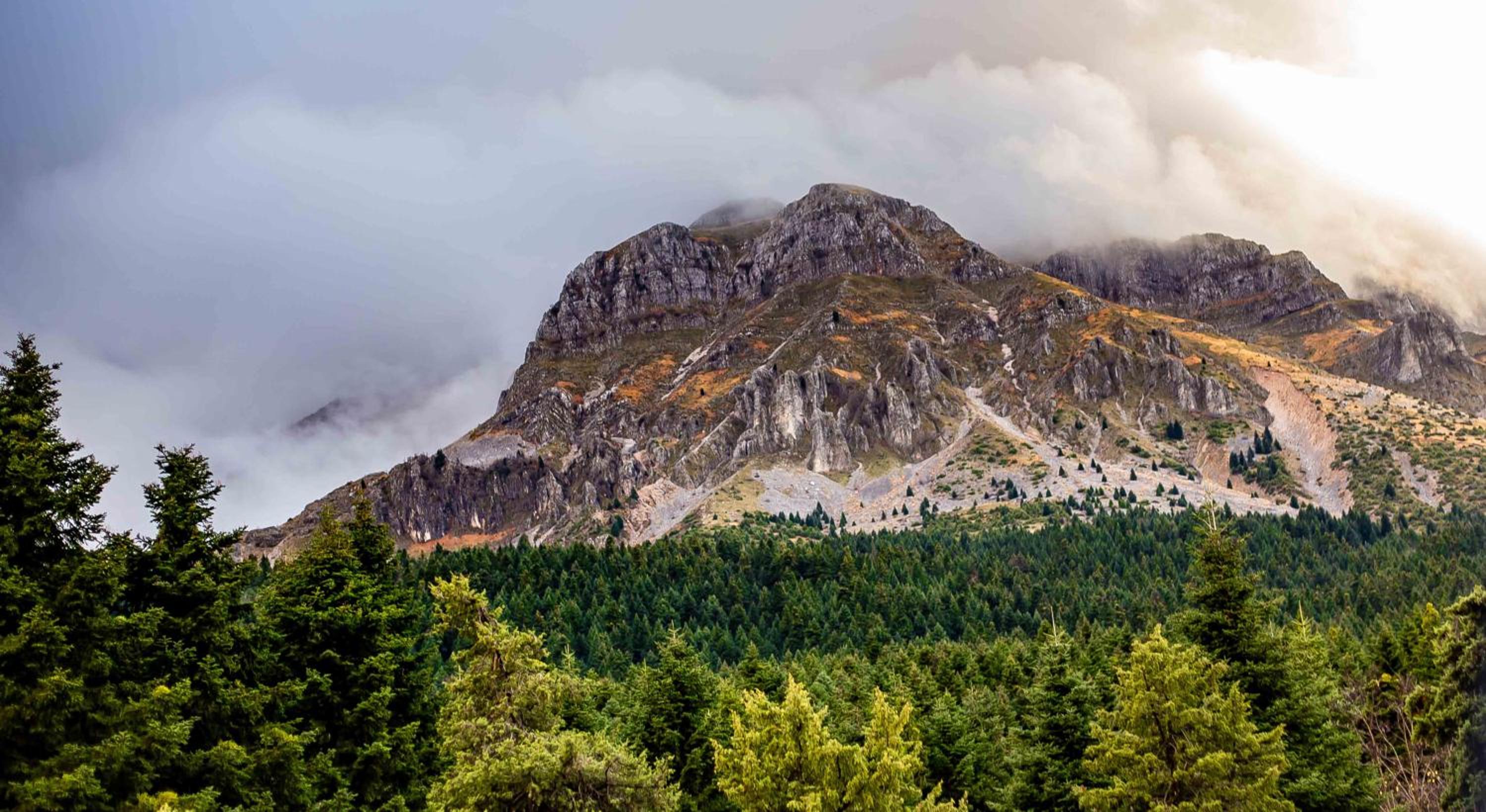Baldeneige