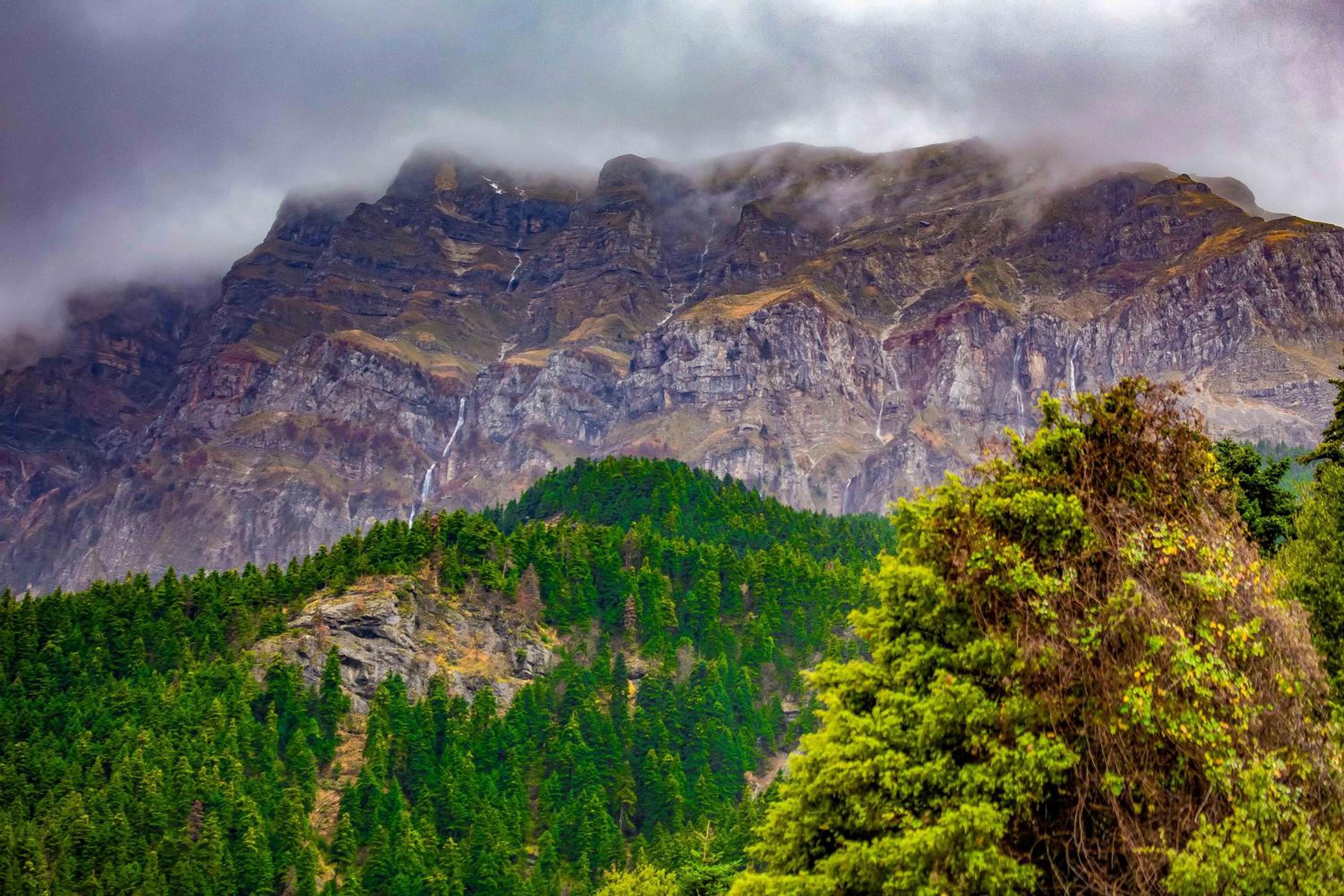 Baldeneige