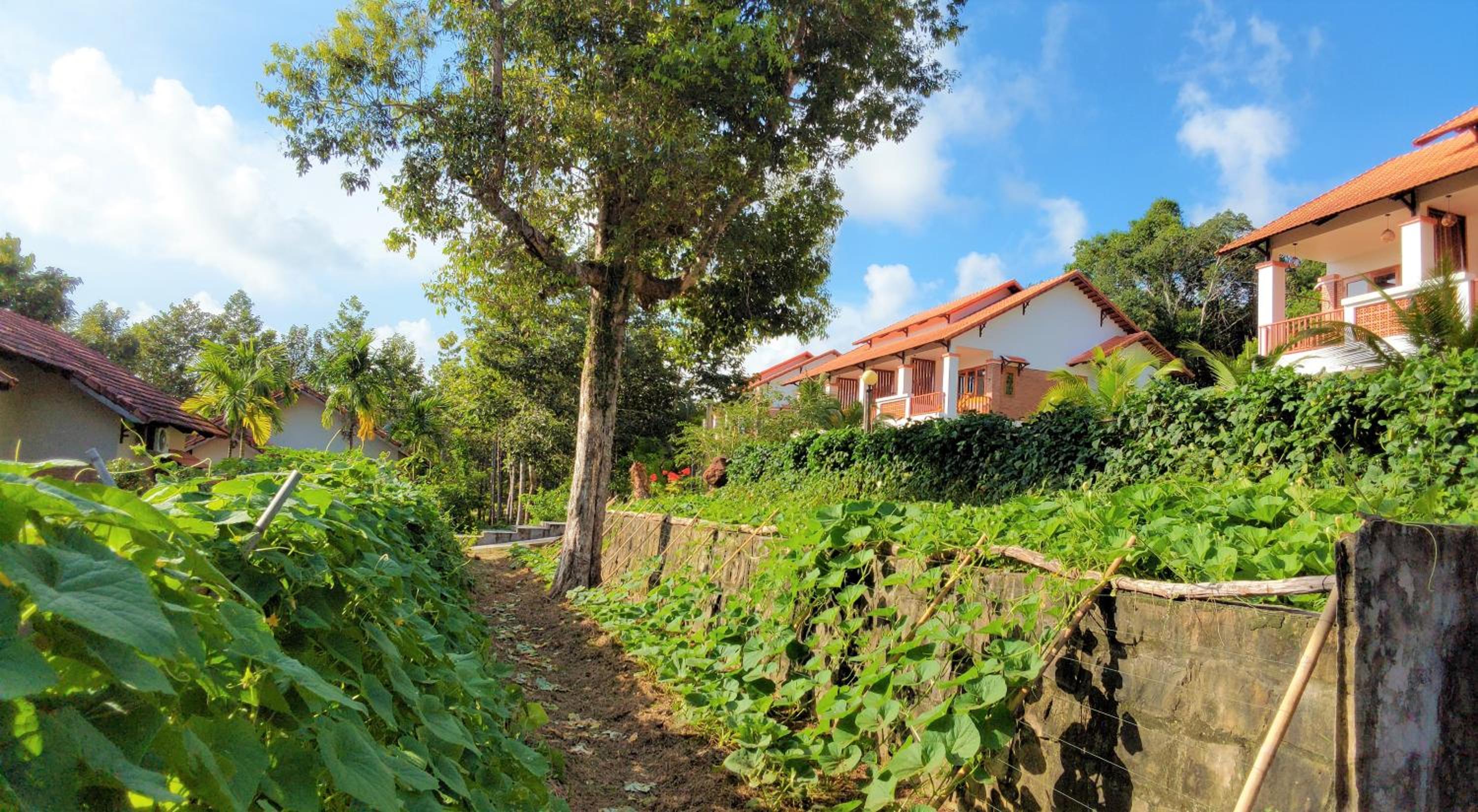 The Garden House Phu Quoc Resort