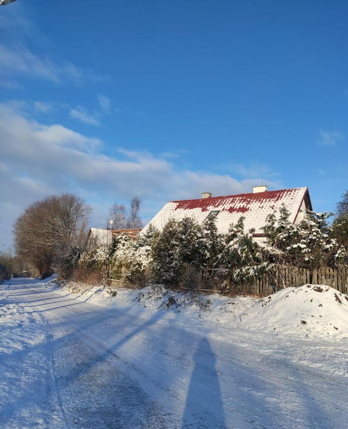 Photo 44
