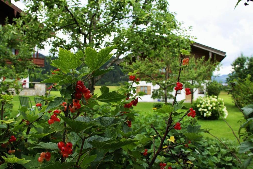 Chalet Menkenhof