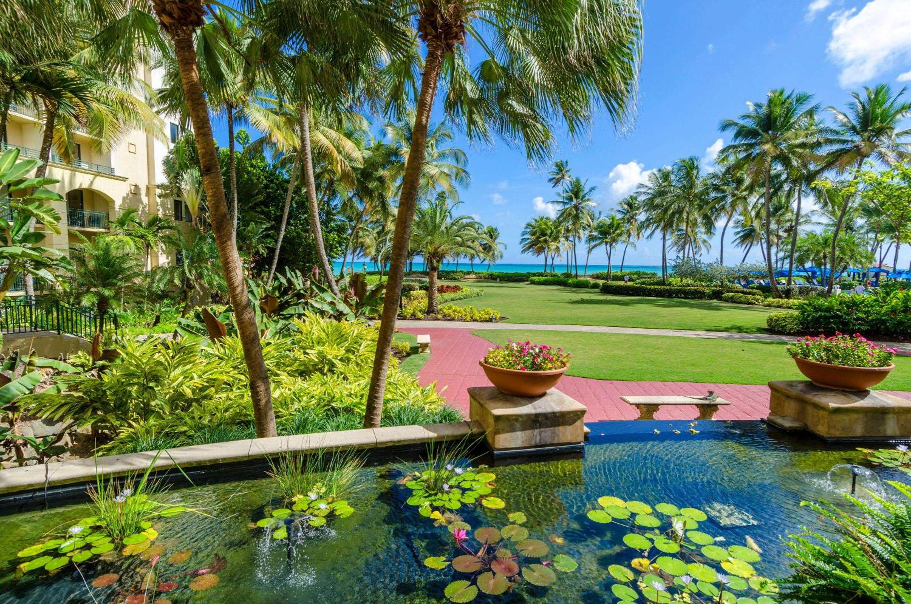 Wyndham Grand Rio Mar Rainforest Beach and Golf Resort - Property Image 175