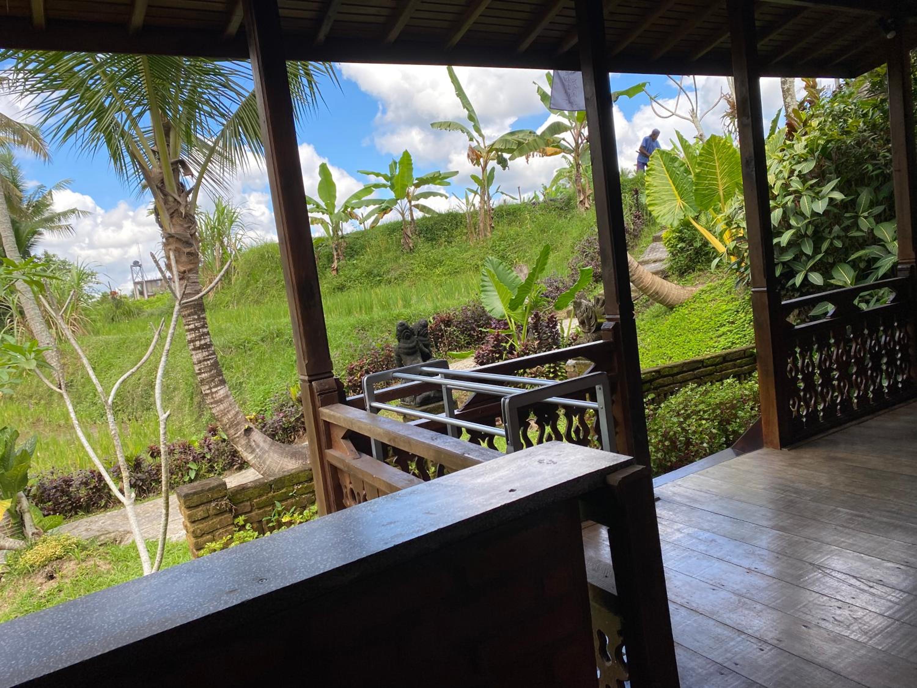 Wooden House and Spa Ubud view 4