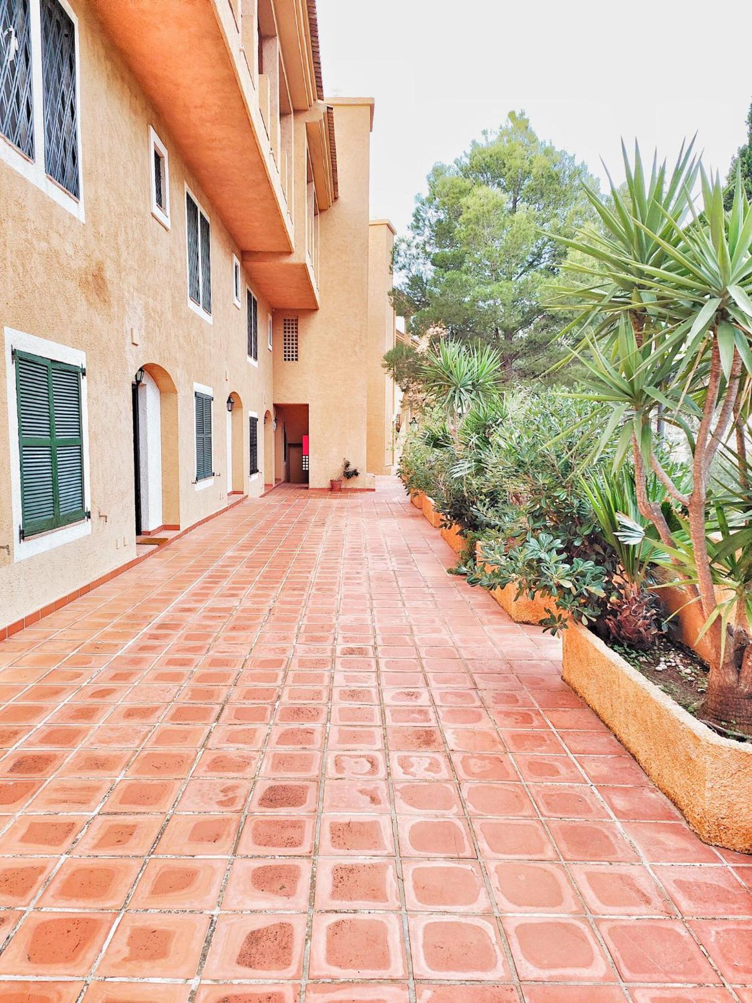 Luxury Apartments Mascarat
