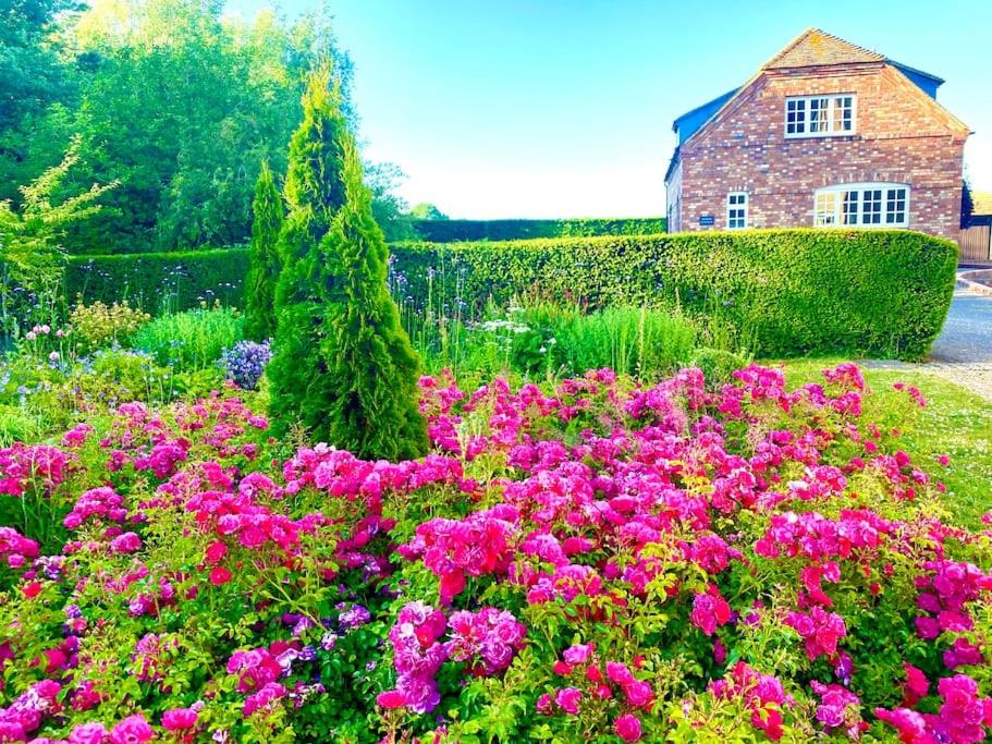 Idyllic Country Retreat with Gorgeous Views, Large Detached Cottage view 4
