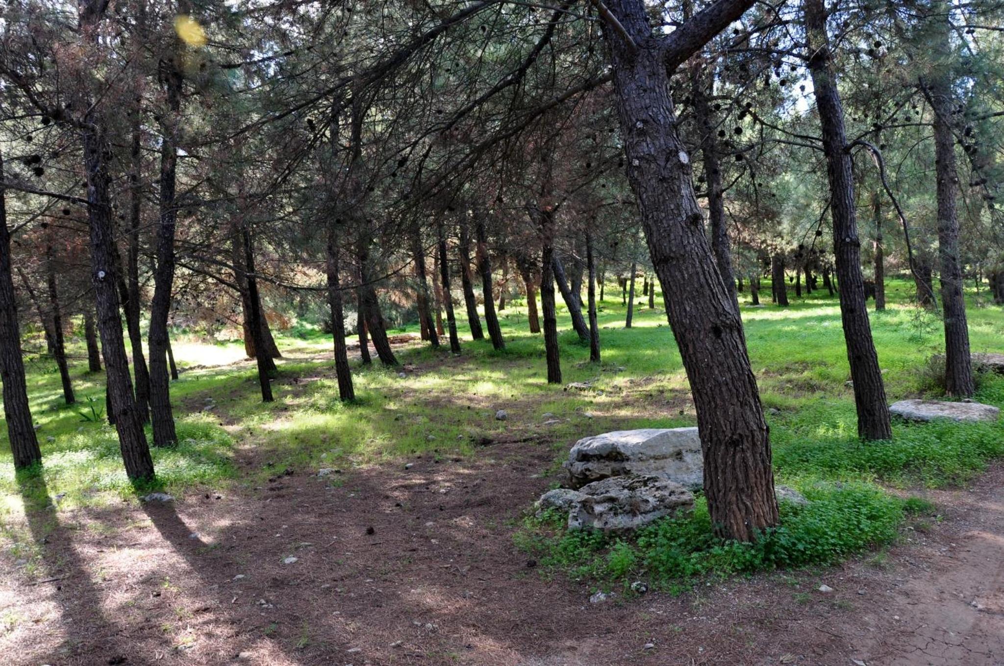Photo 28