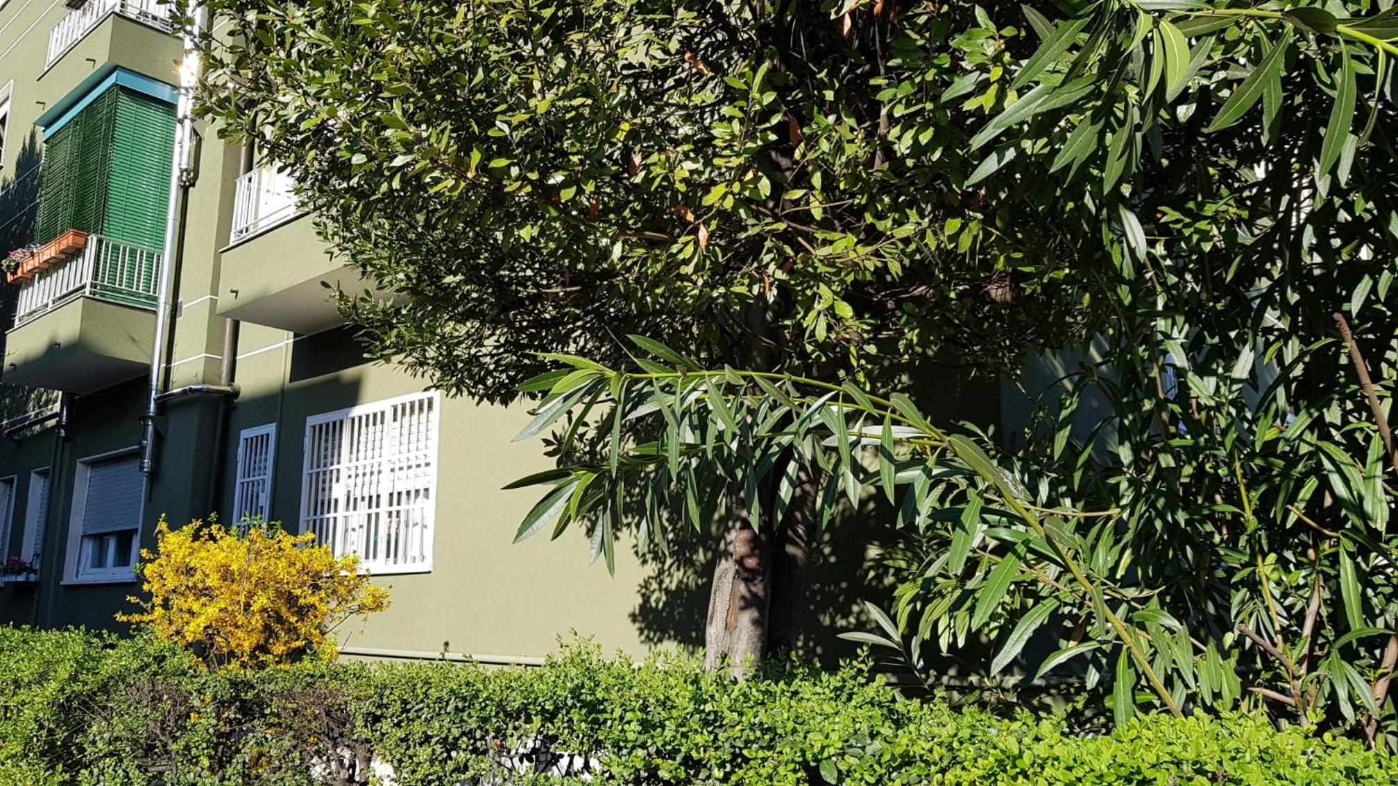 I Host apartment - Cossa 19