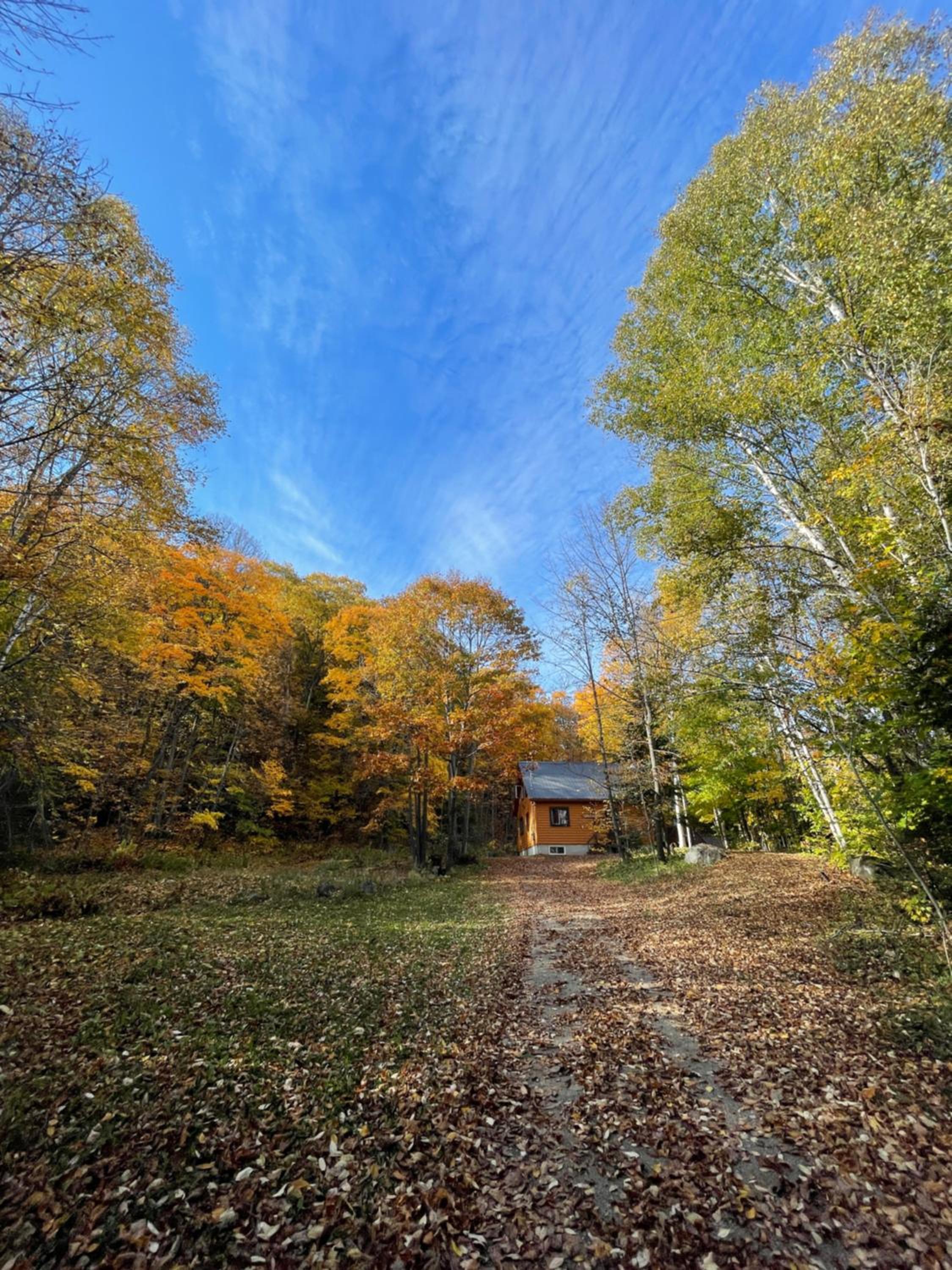 Joy's Chalet - Hottub, Lake, & Cottage view 4