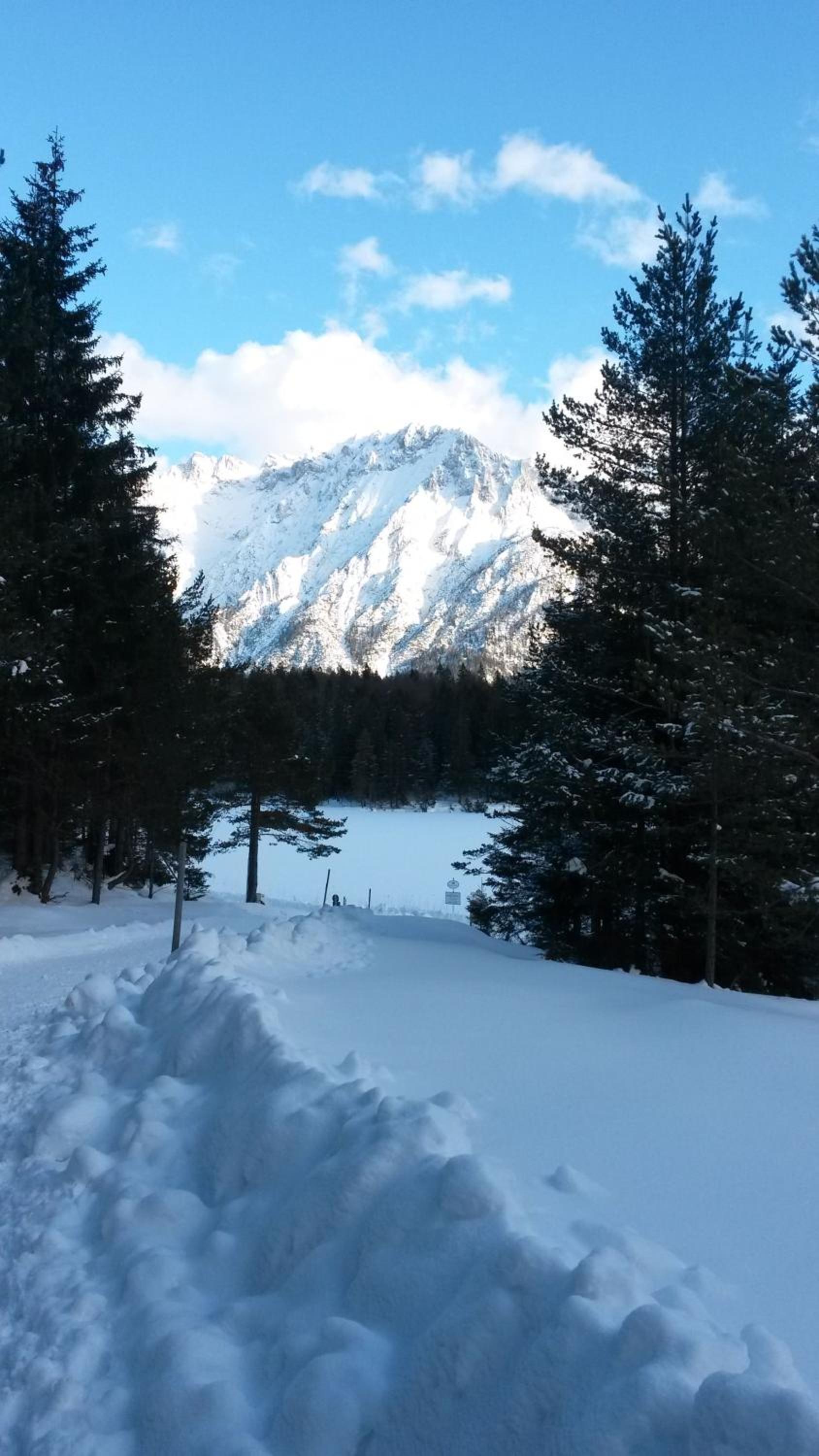 Alpenappartements Schwalbennestl